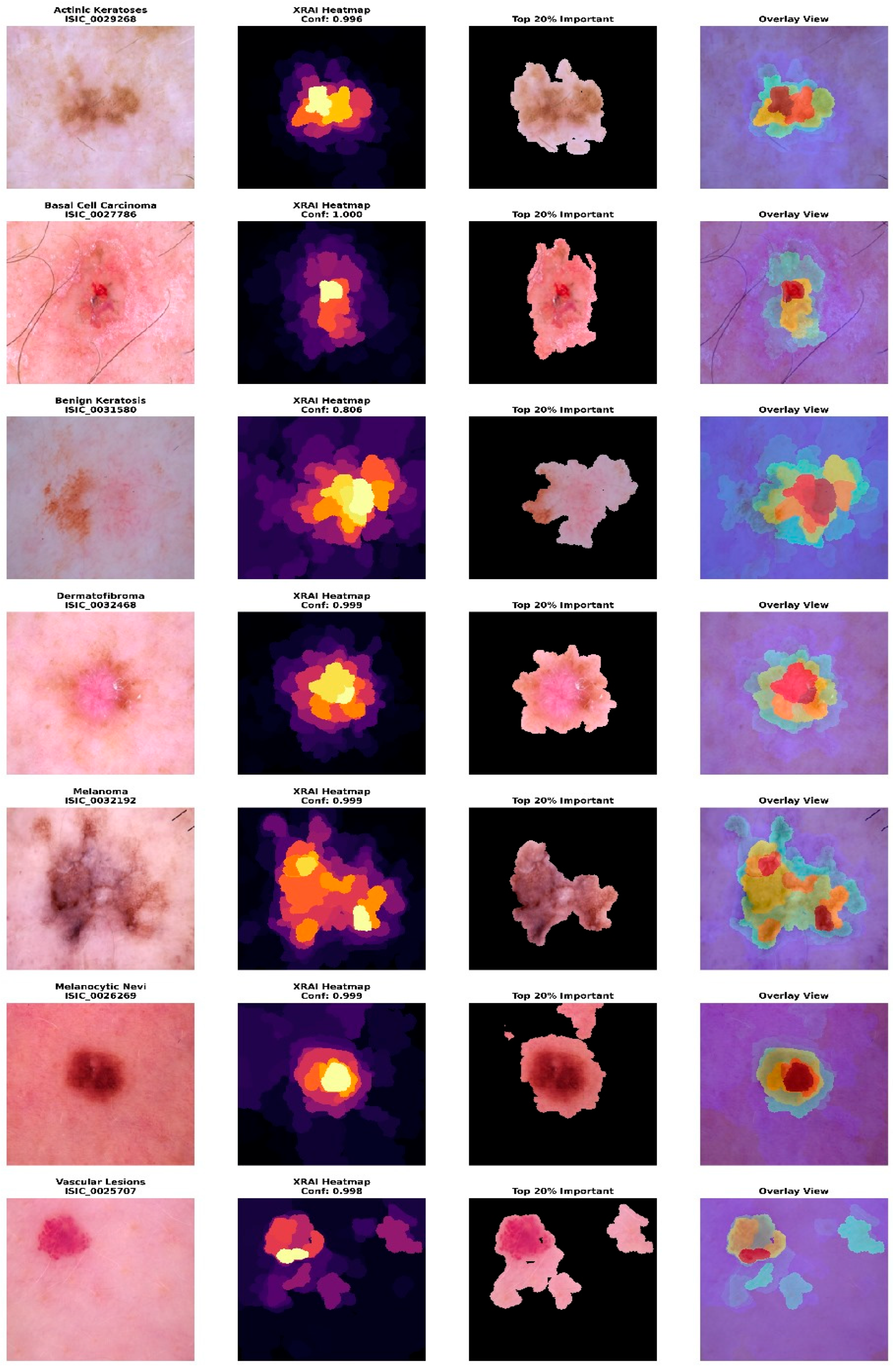 Cosmetics 12 00194 g003