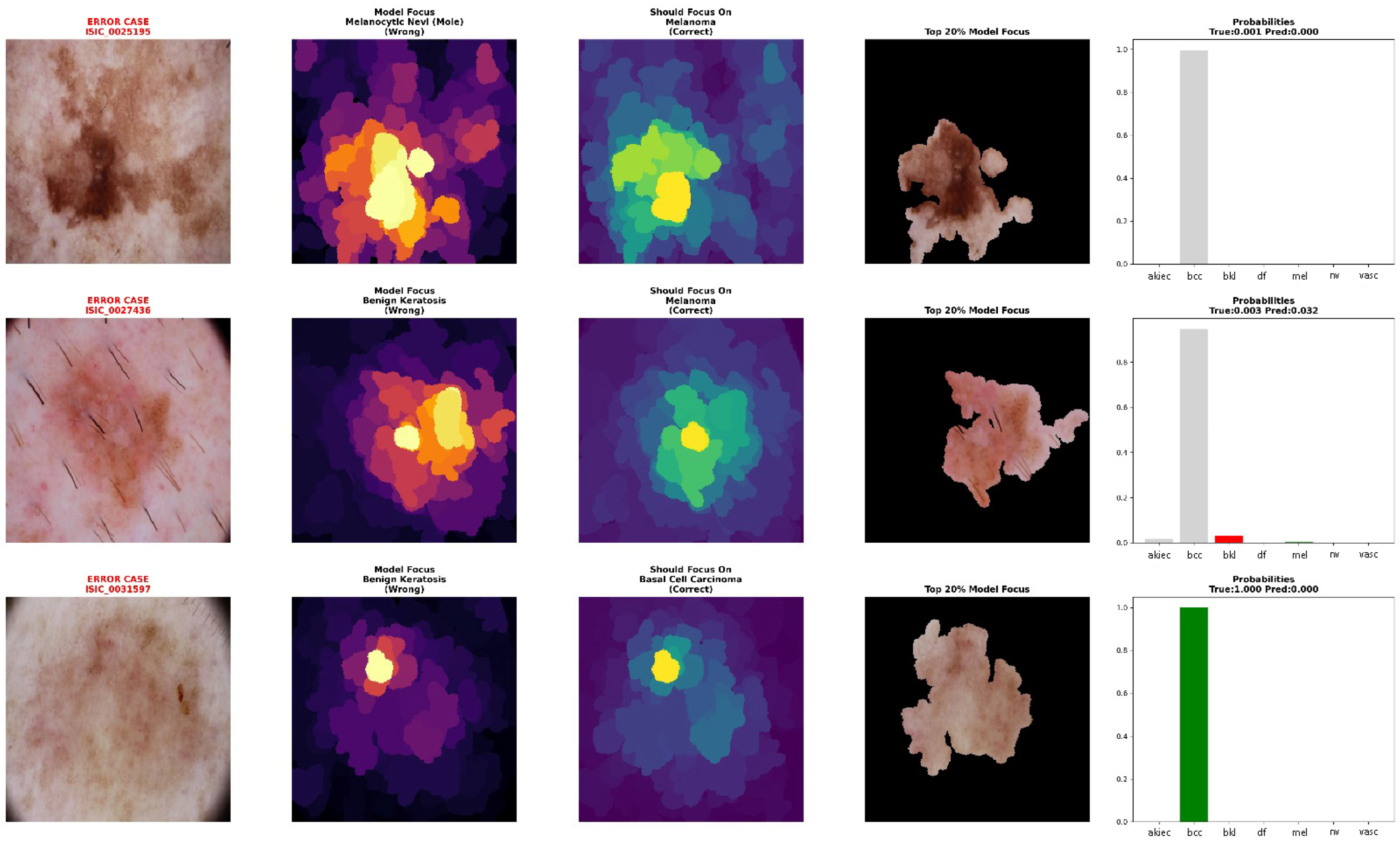 Cosmetics 12 00194 g004