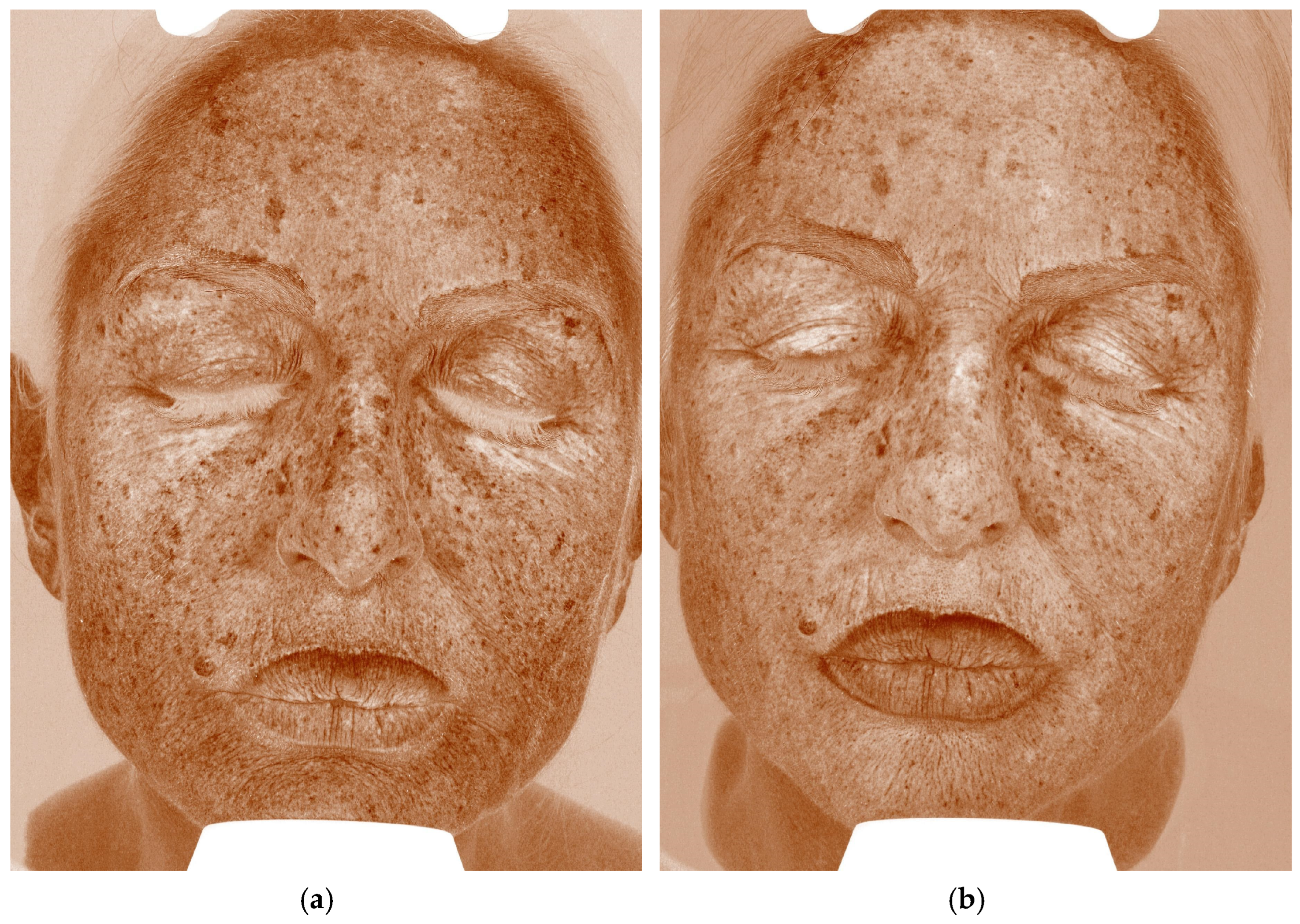 Cosmetics 12 00199 g004