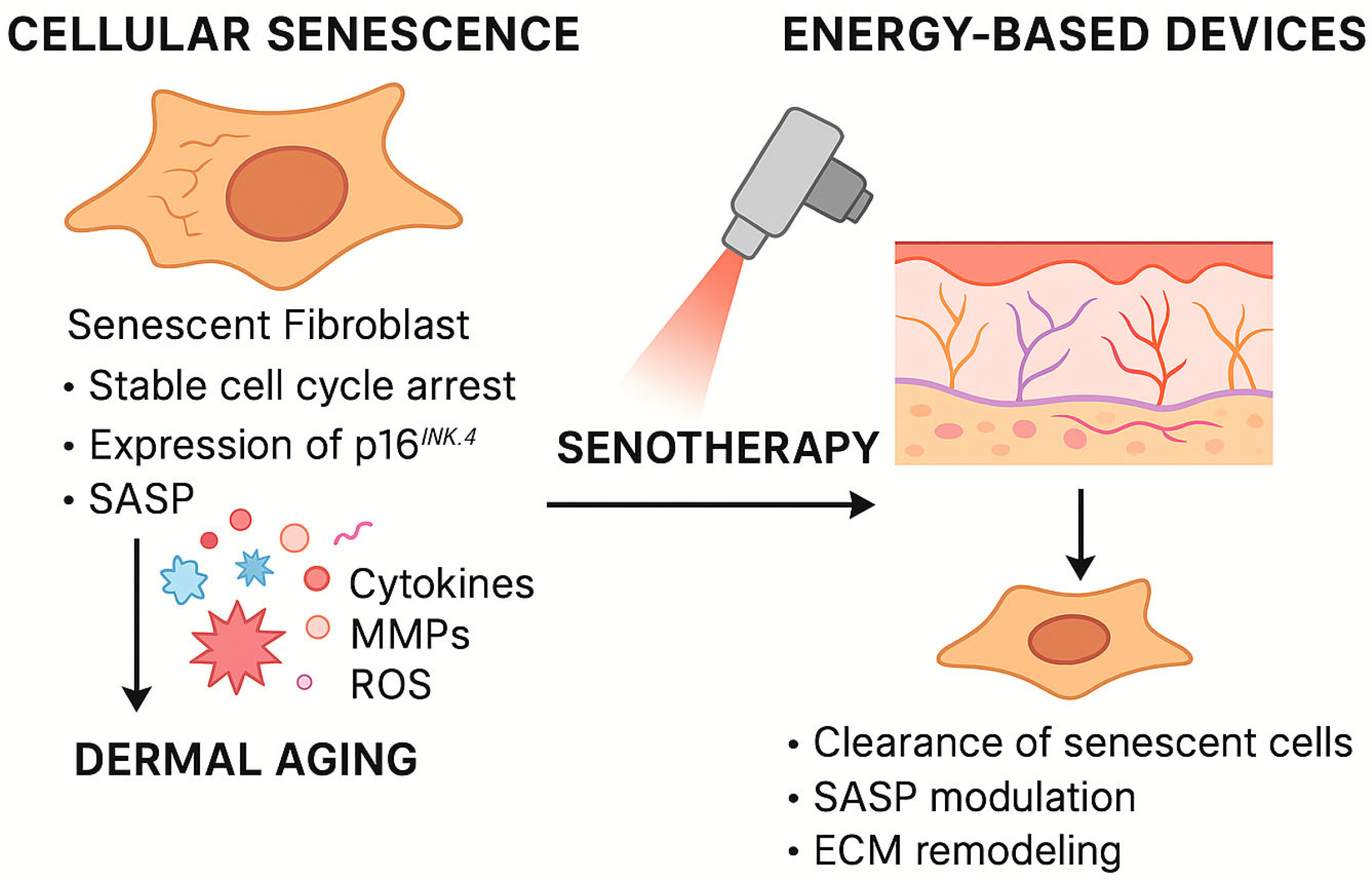 Cosmetics 12 00201 g001 Cosmetics 12 00201 g001
