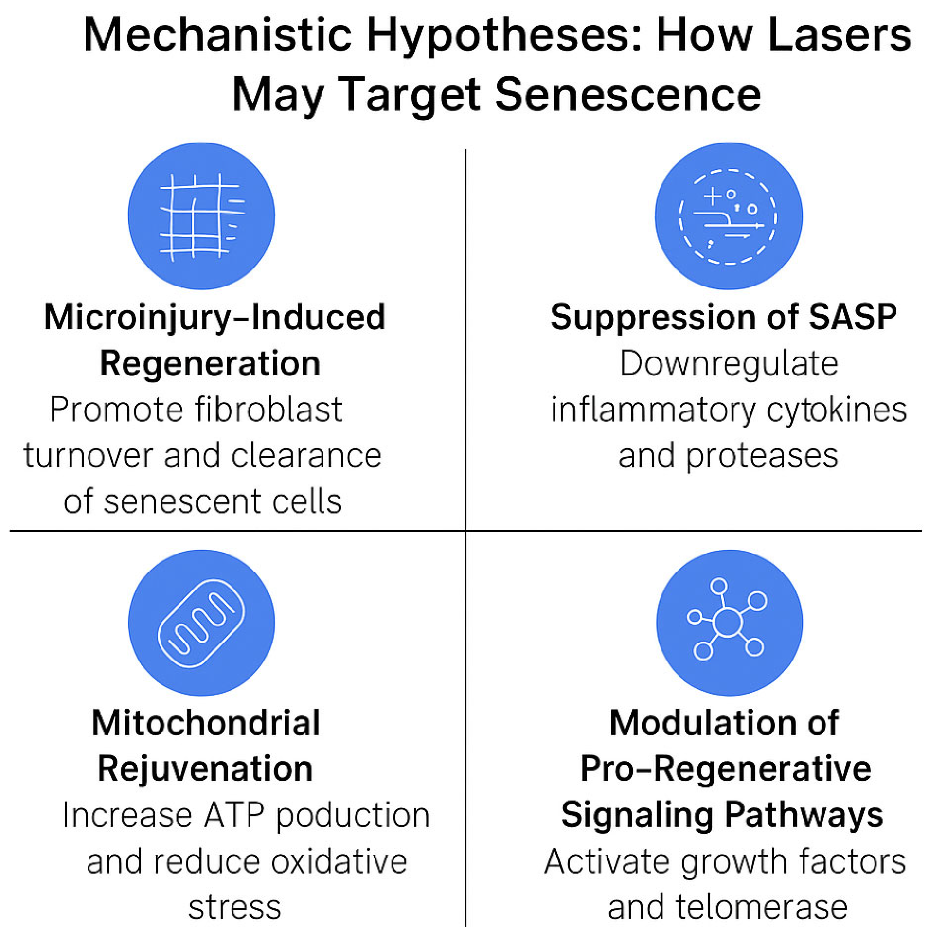 Cosmetics 12 00201 g002 Cosmetics 12 00201 g002