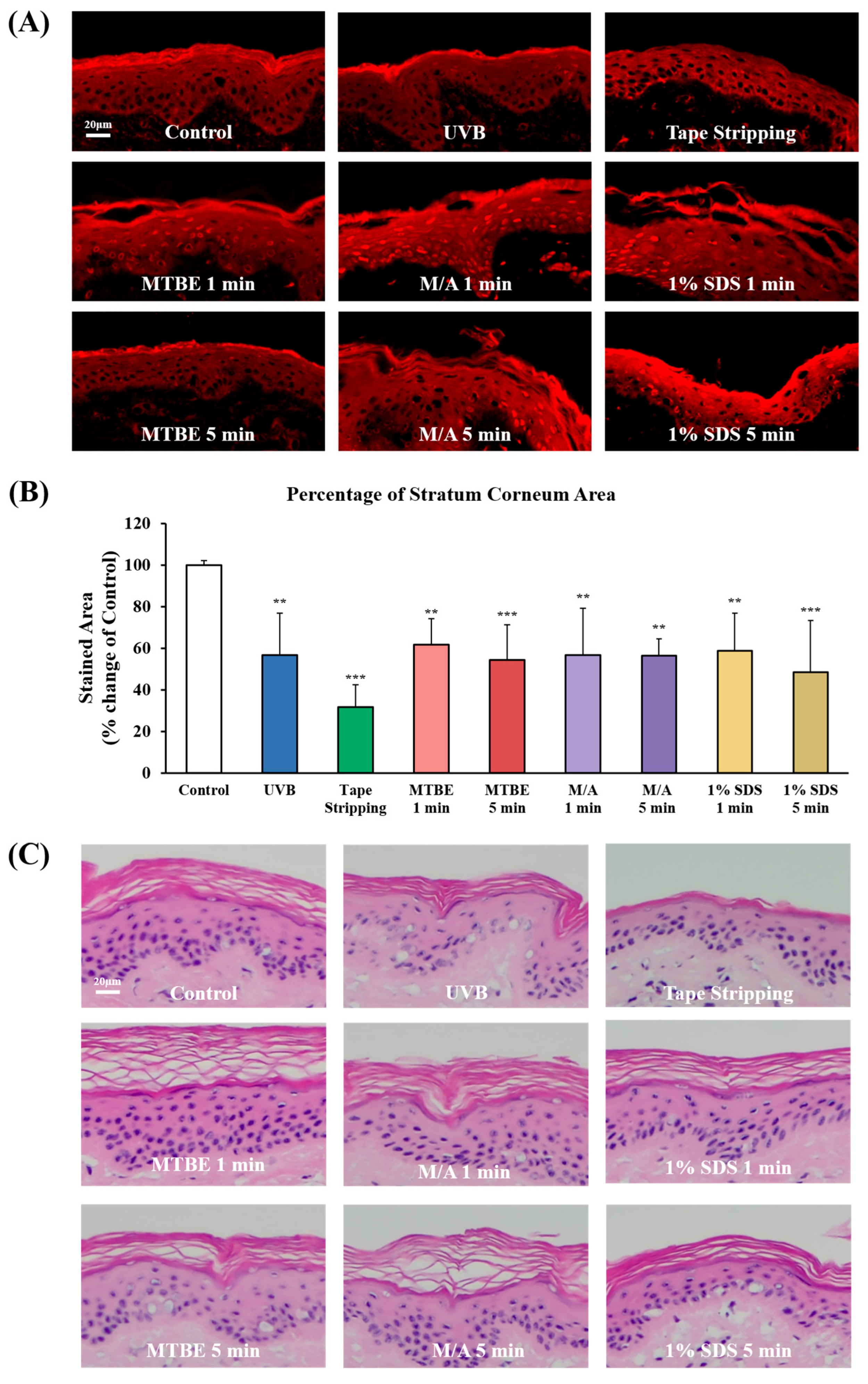 Cosmetics 12 00203 g002
