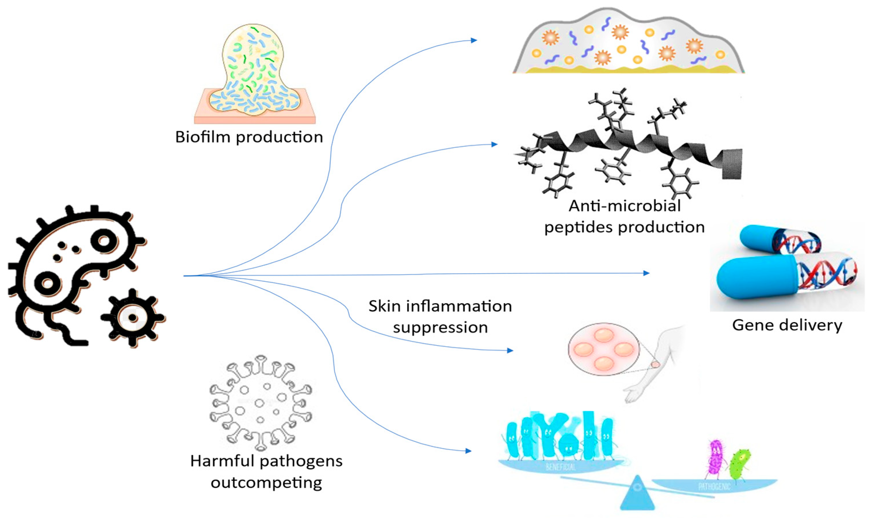 Cosmetics 12 00205 g002 Cosmetics 12 00205 g002