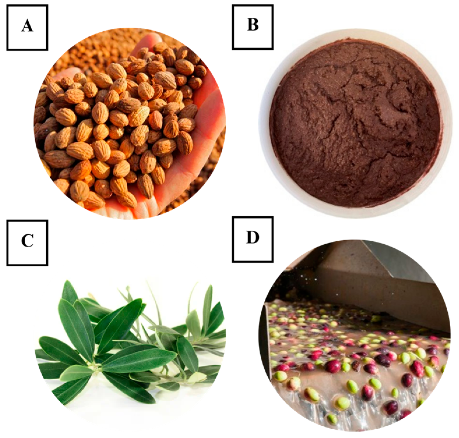 Cosmetics 12 00206 g005 Cosmetics 12 00206 g005