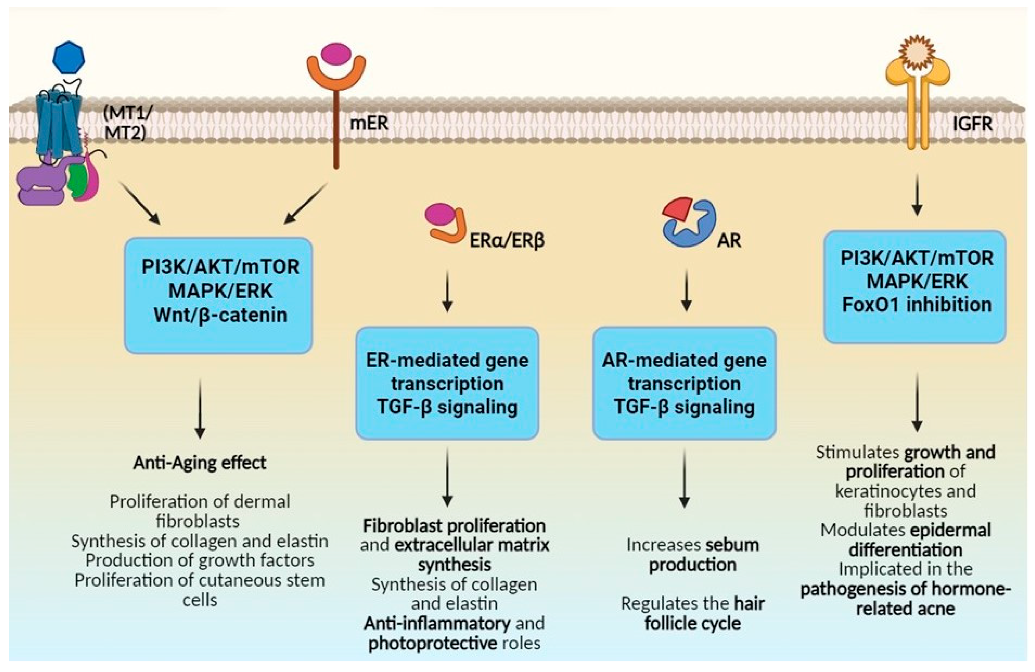 Cosmetics 12 00207 g001 Cosmetics 12 00207 g001