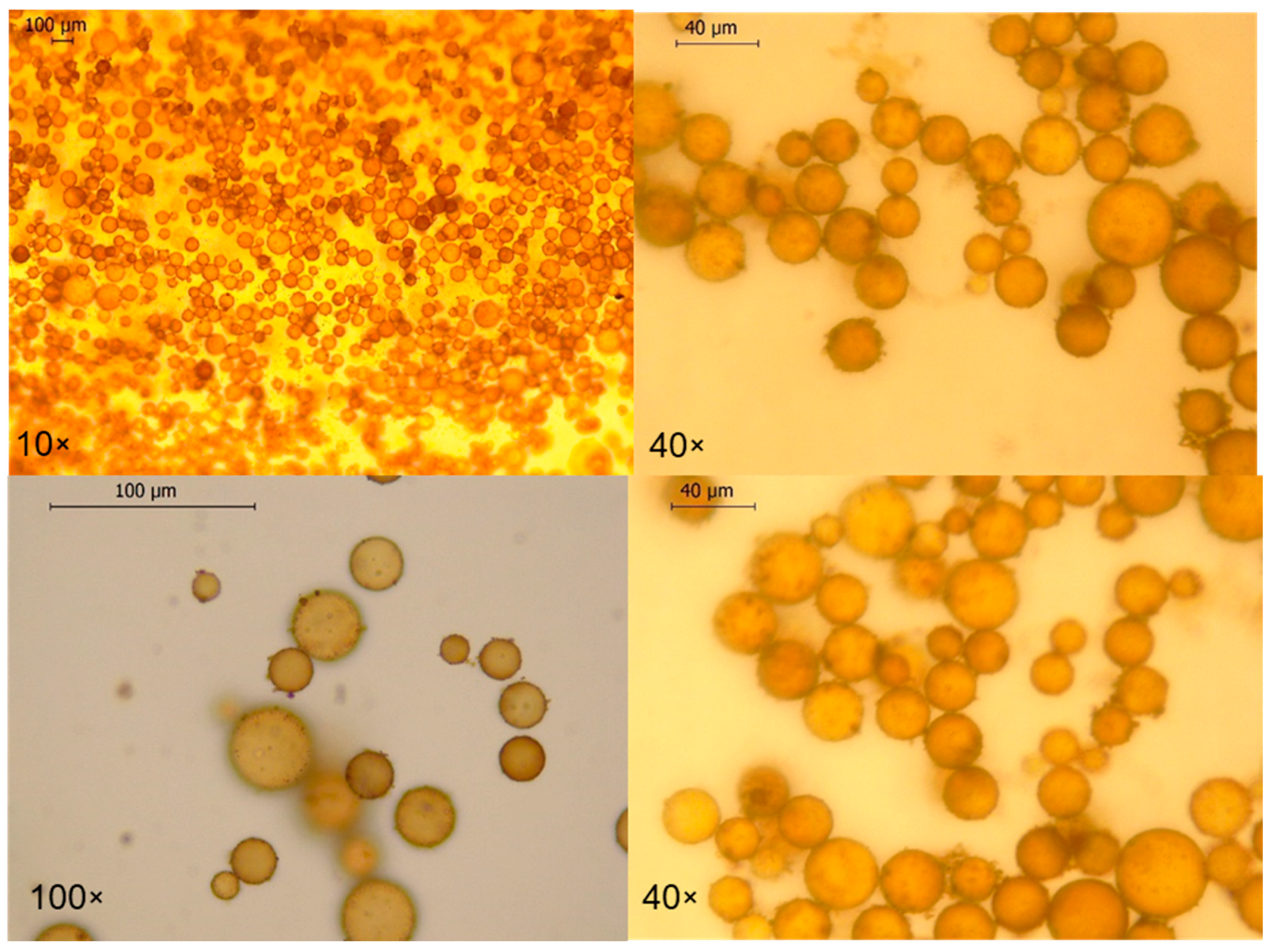 Cosmetics 12 00208 g005 Cosmetics 12 00208 g005