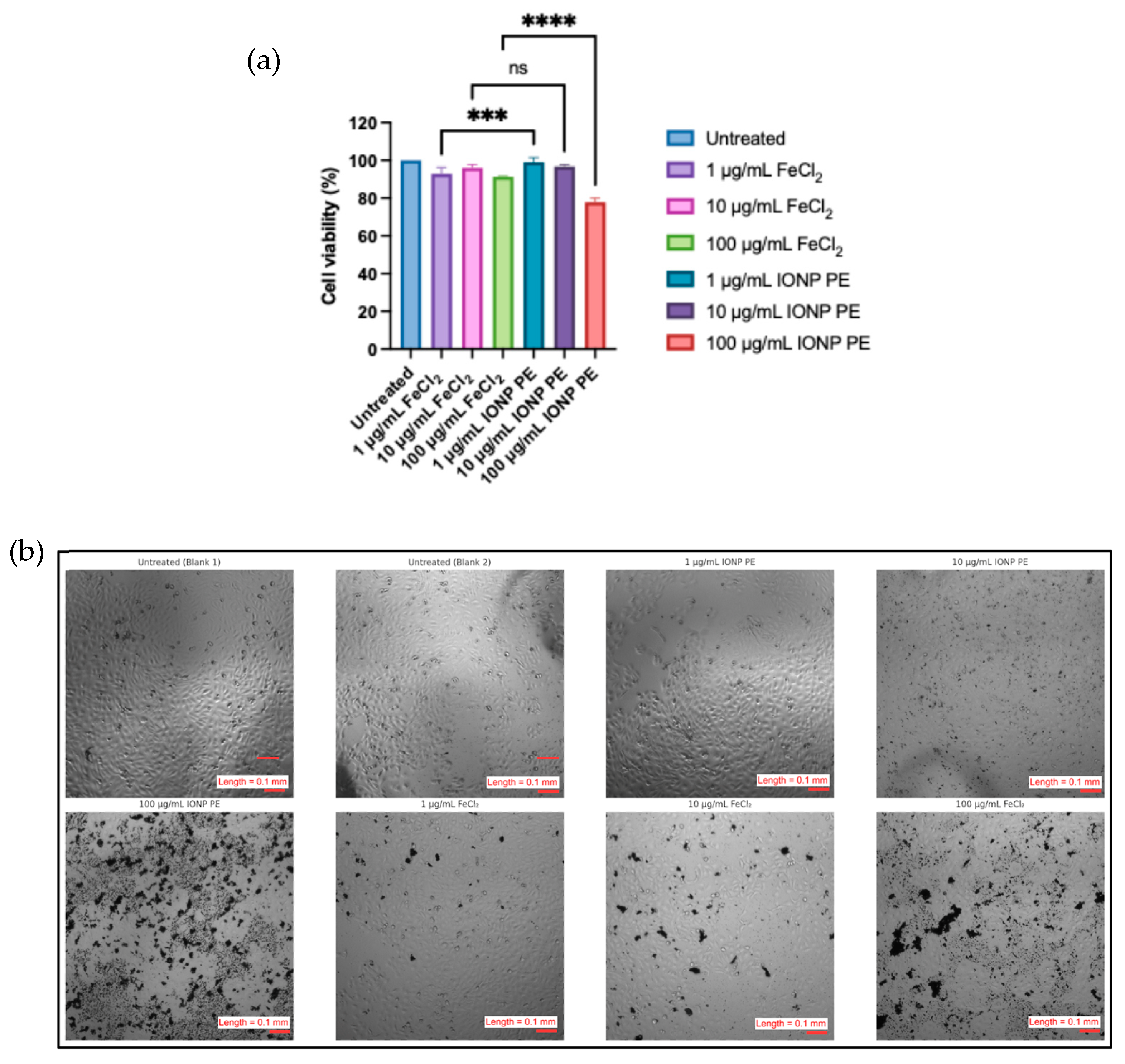 Cosmetics 12 00208 g009 Cosmetics 12 00208 g009