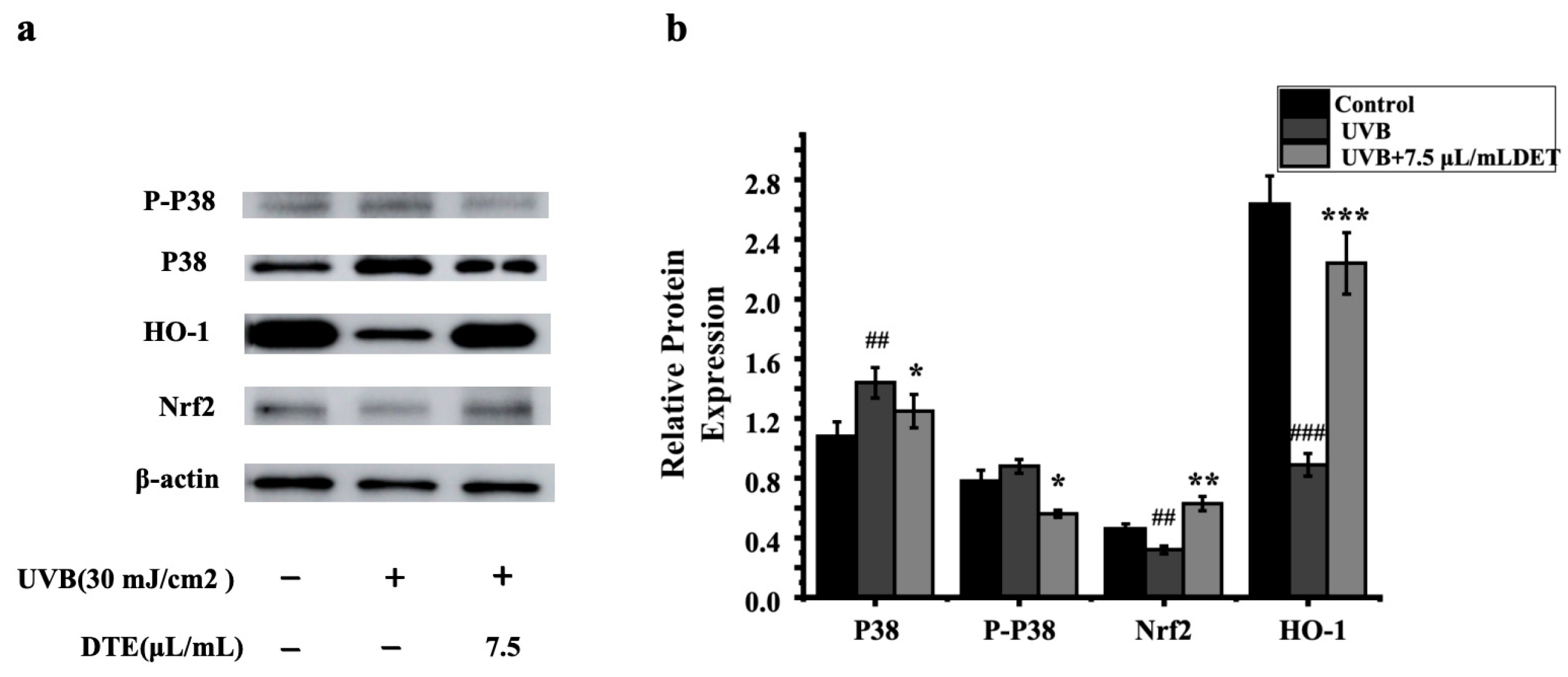 Cosmetics 12 00210 g009 Cosmetics 12 00210 g009