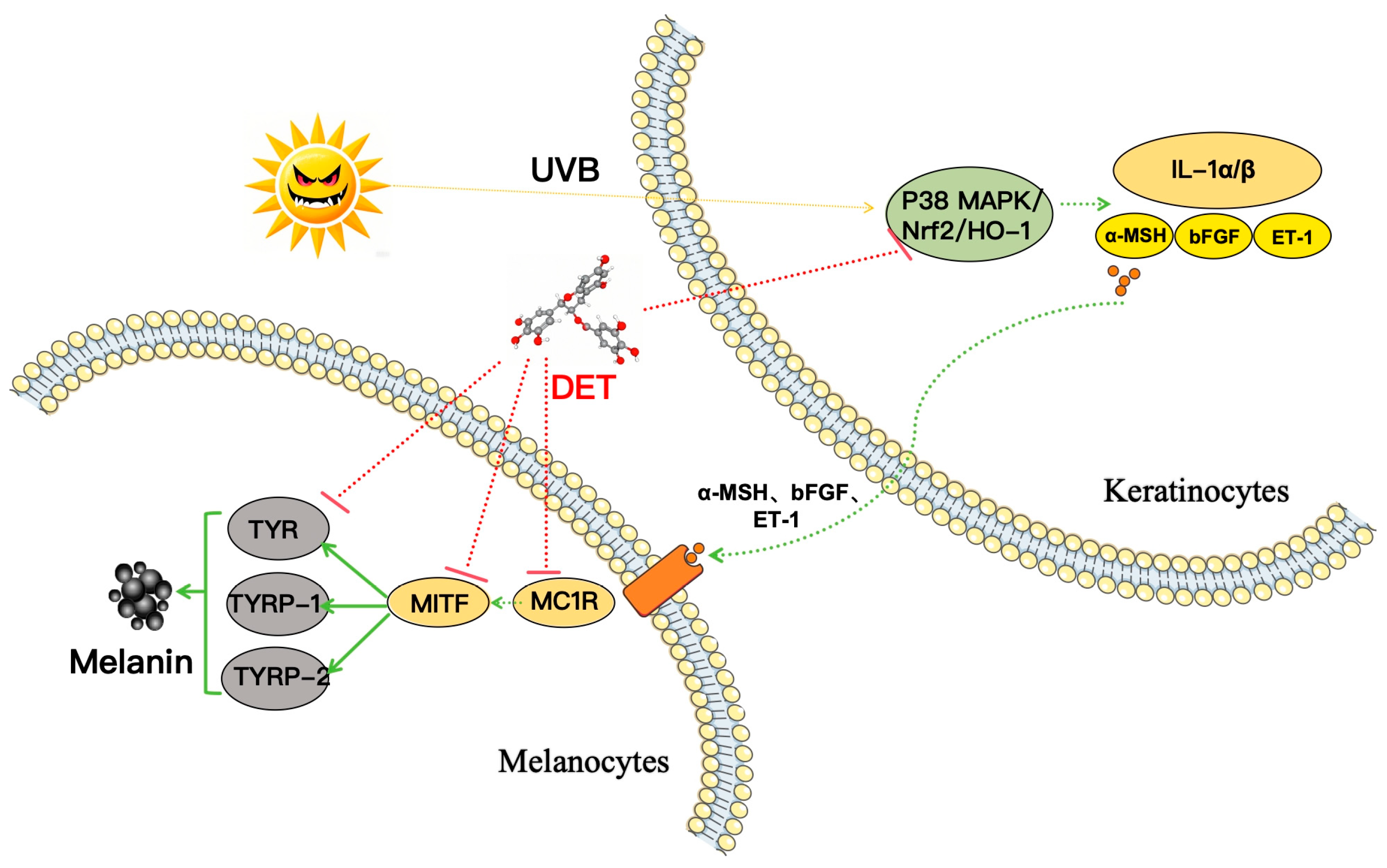 Cosmetics 12 00210 g011 Cosmetics 12 00210 g011
