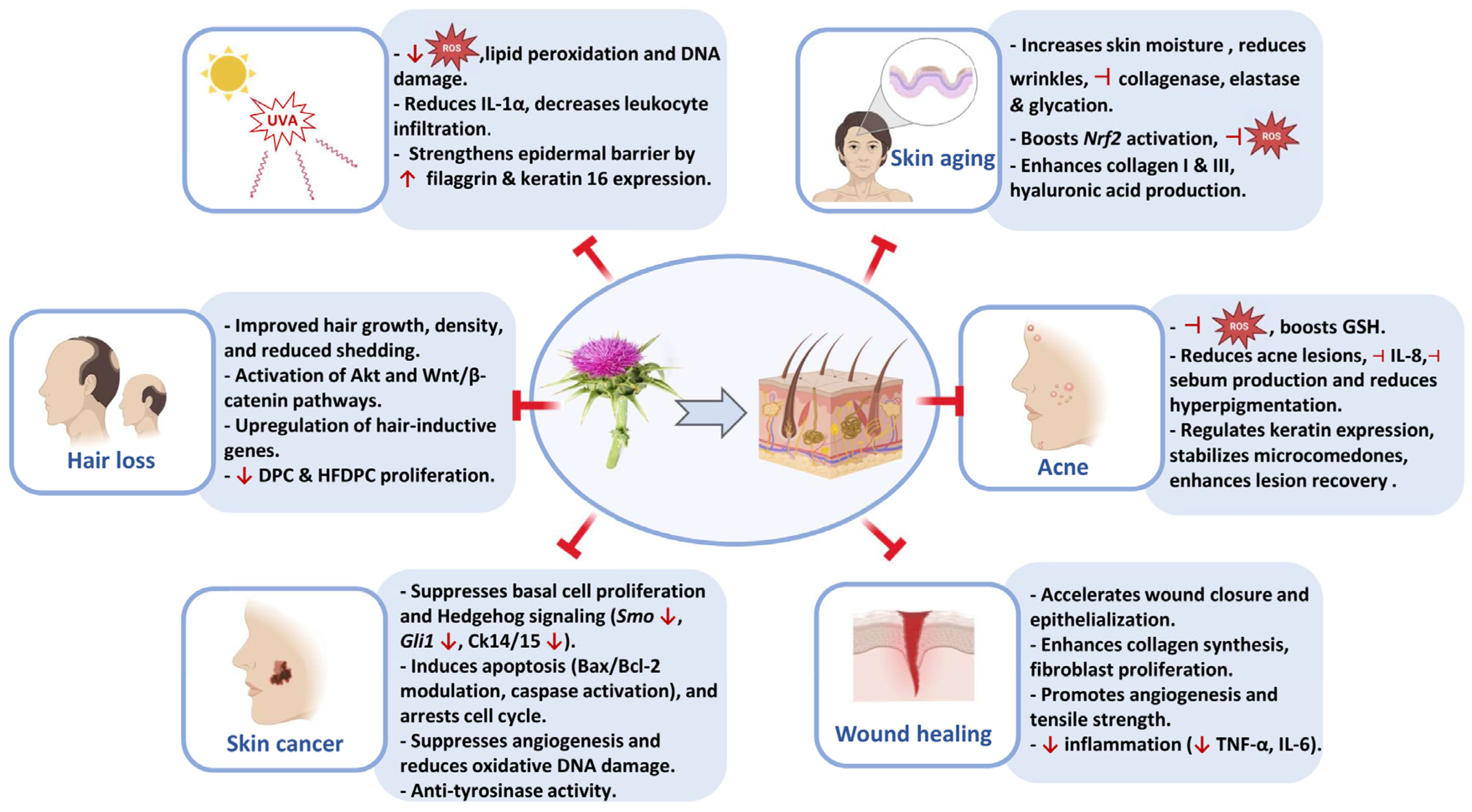 Cosmetics 12 00211 g004 Cosmetics 12 00211 g004