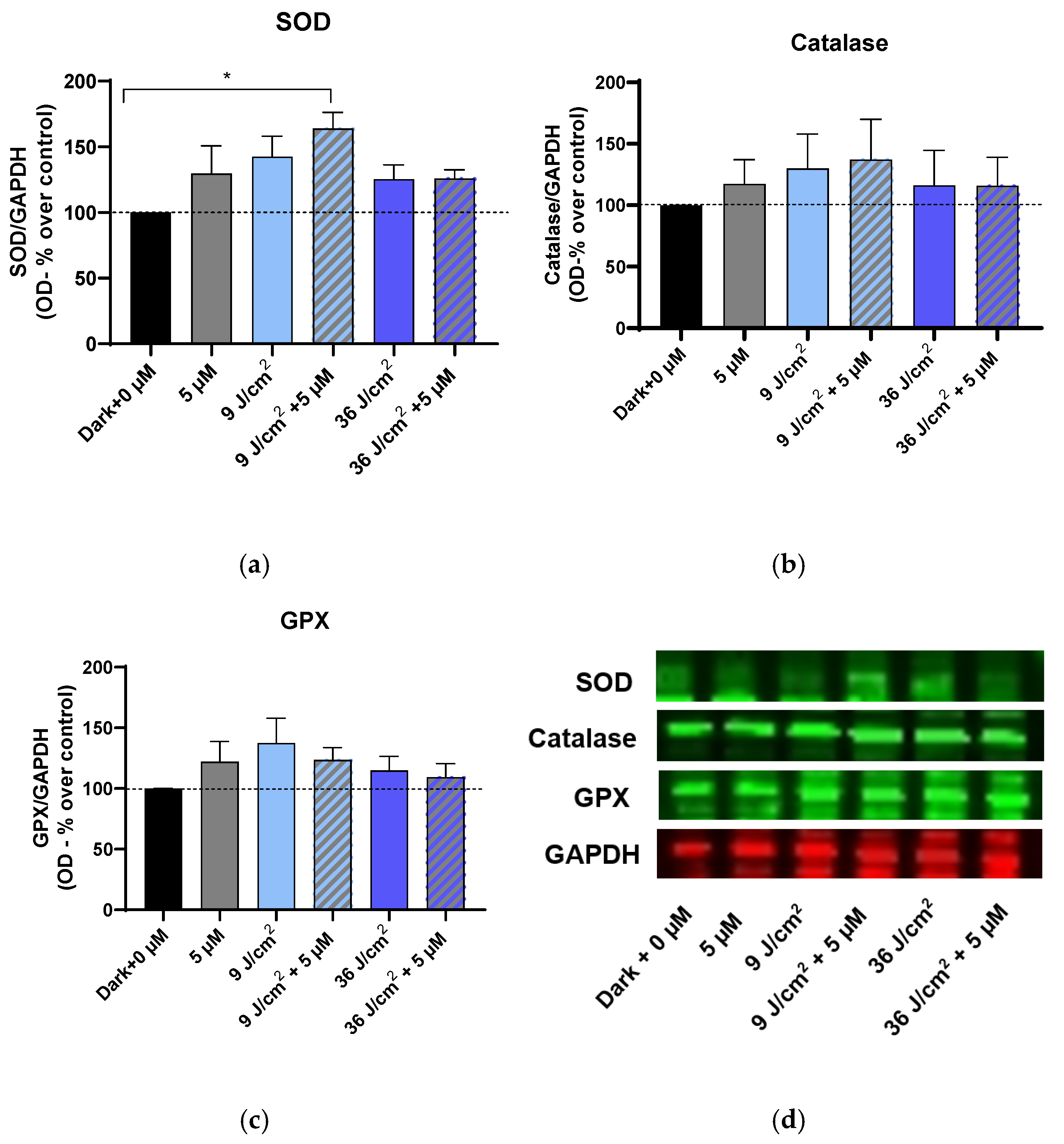 Cosmetics 12 00213 g005 Cosmetics 12 00213 g005