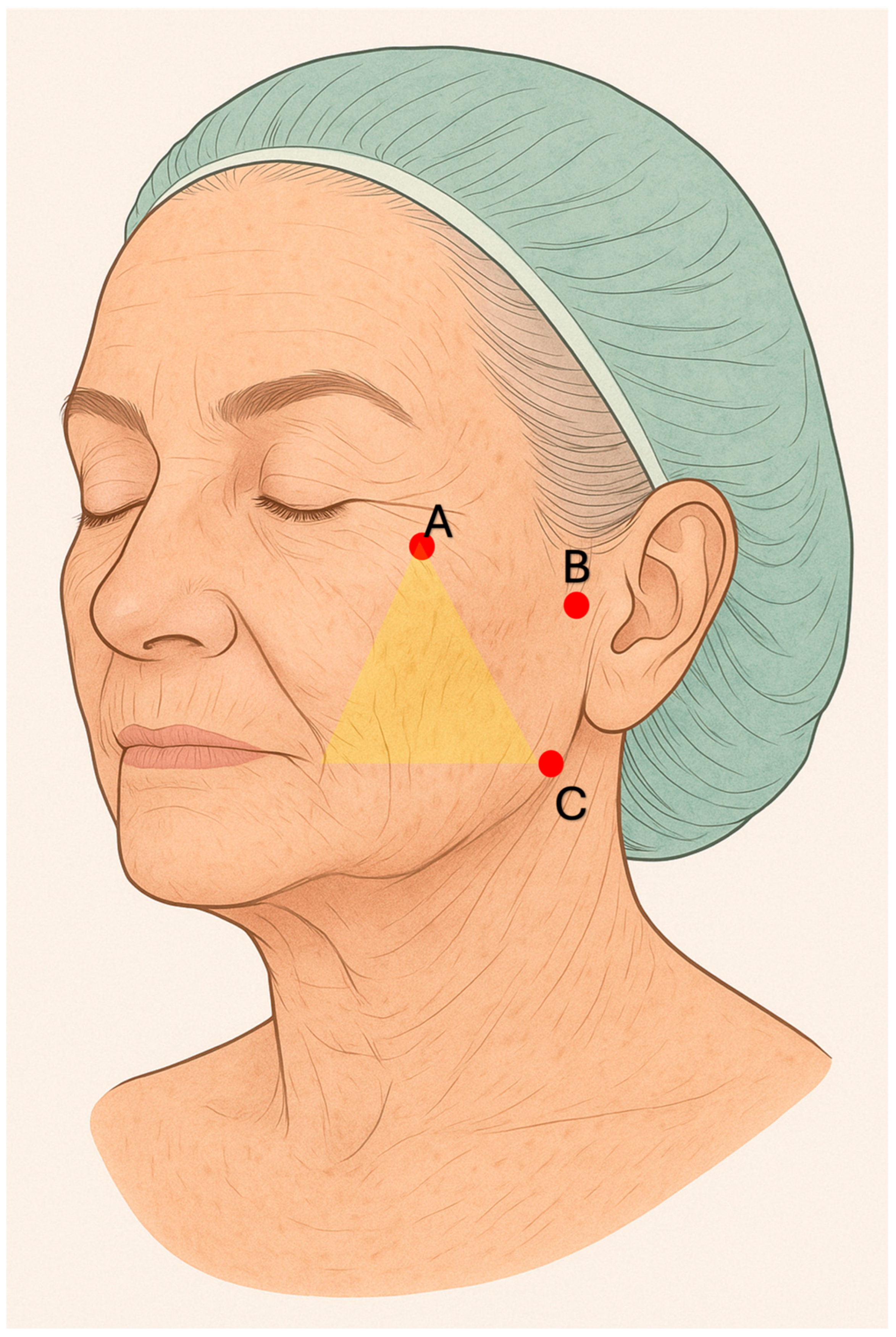 Cosmetics 12 00222 g002