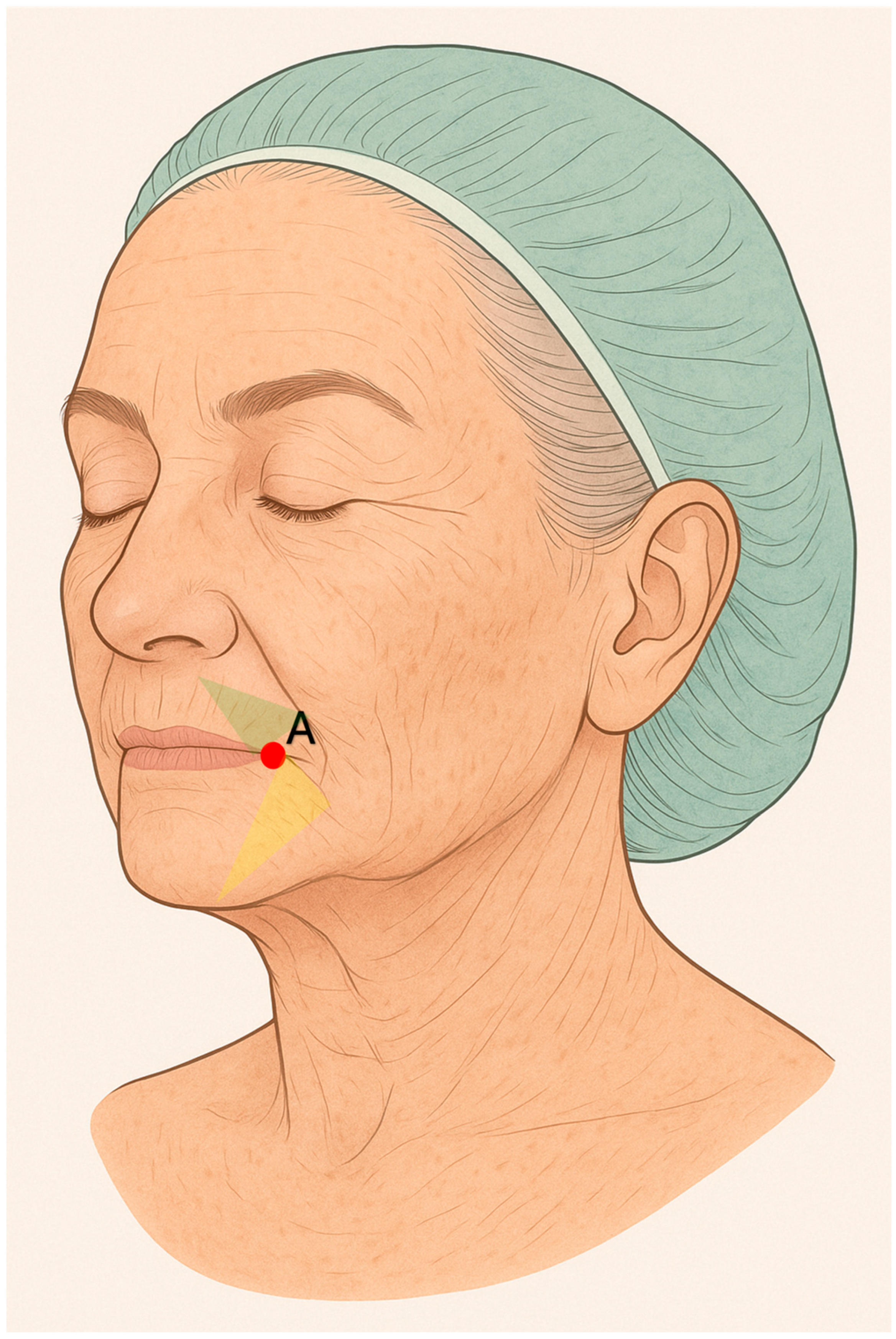 Cosmetics 12 00222 g003