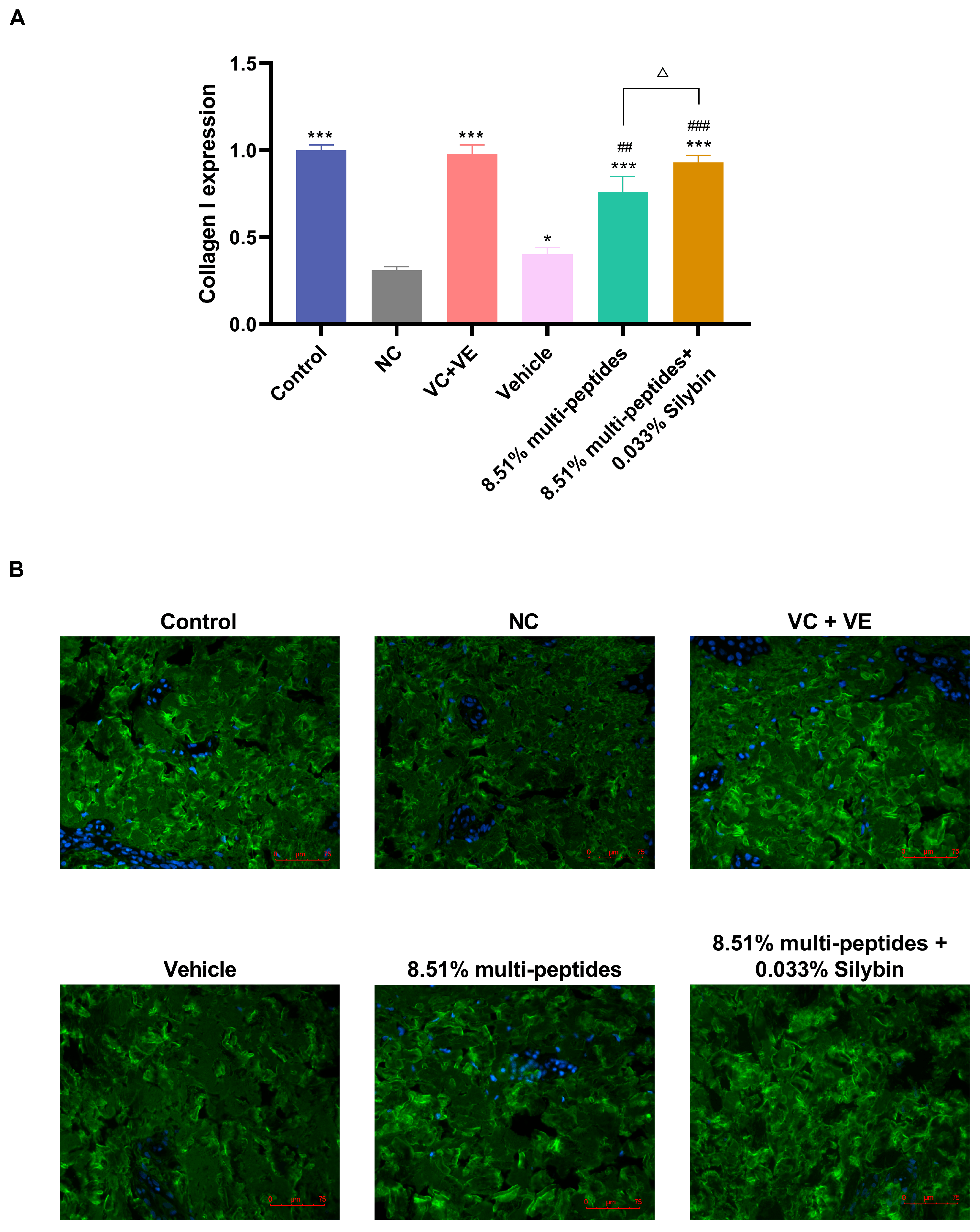 Cosmetics 12 00223 g003