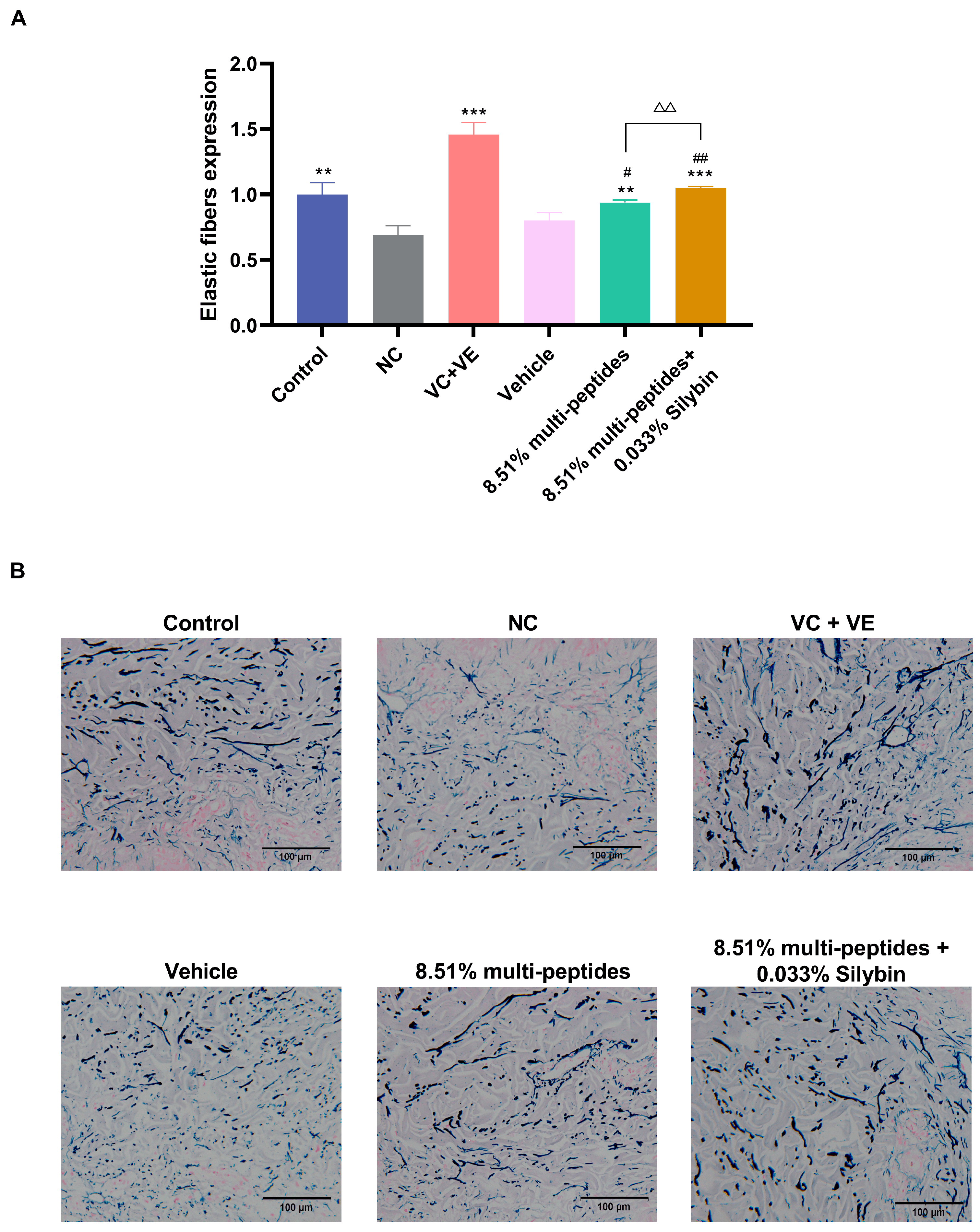 Cosmetics 12 00223 g004
