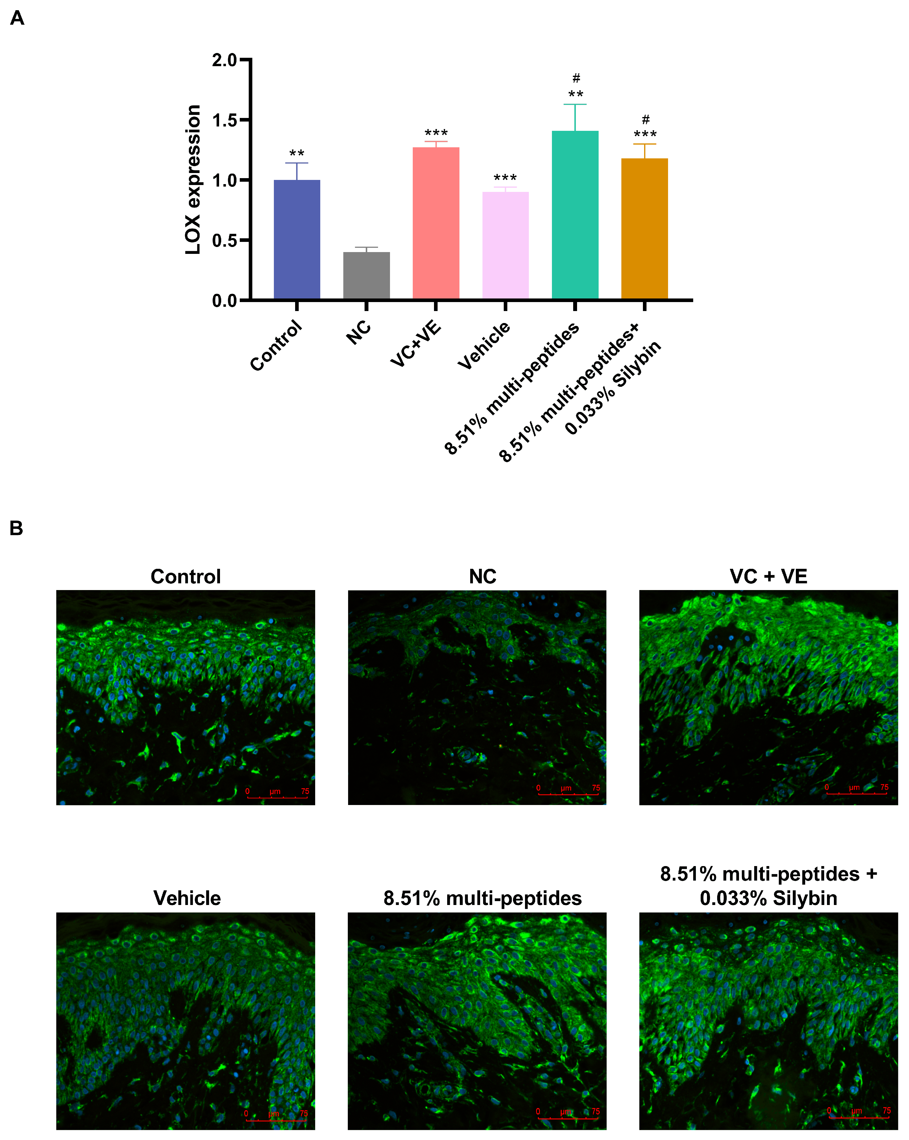 Cosmetics 12 00223 g005