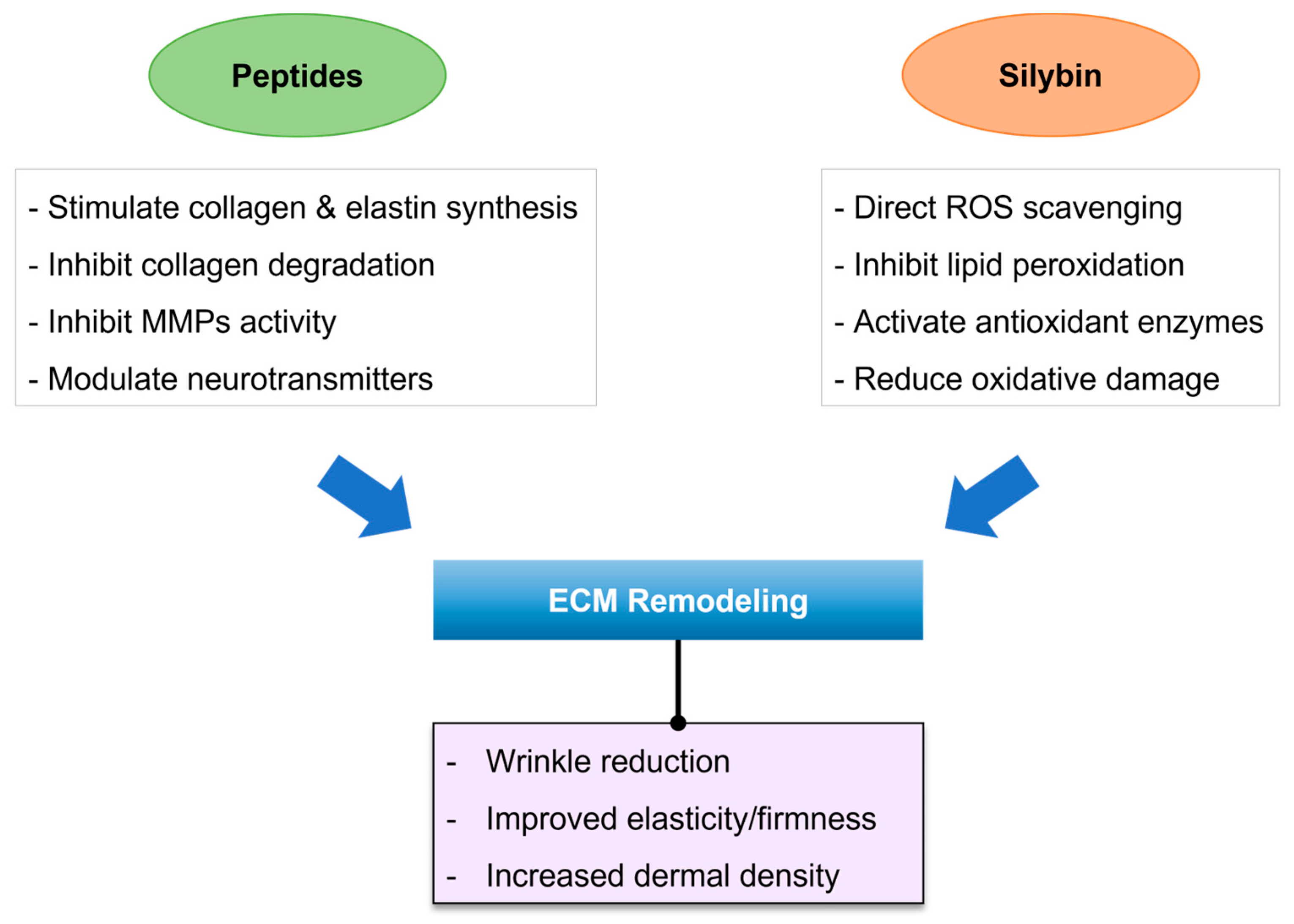Cosmetics 12 00223 g010