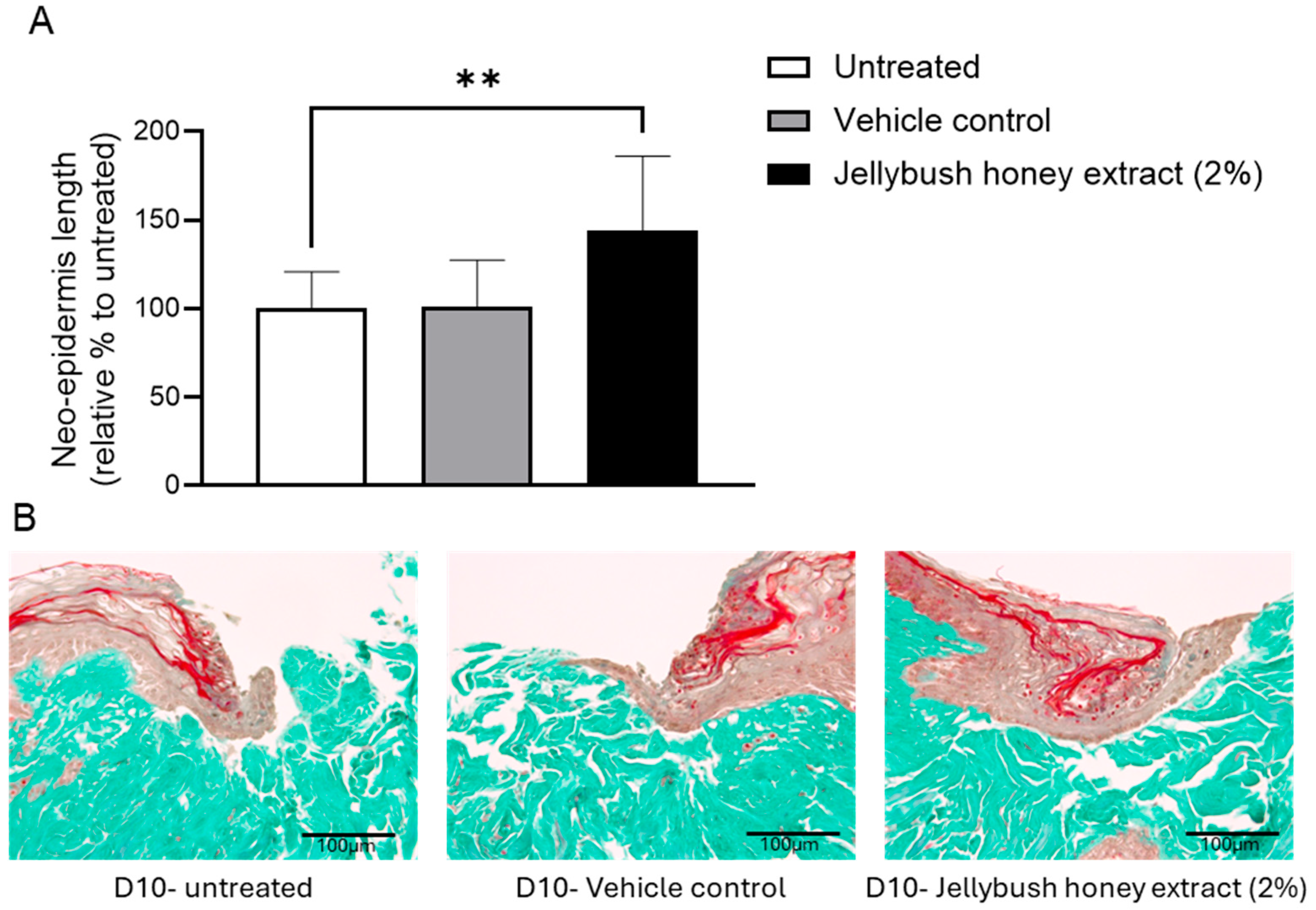Cosmetics 12 00224 g002