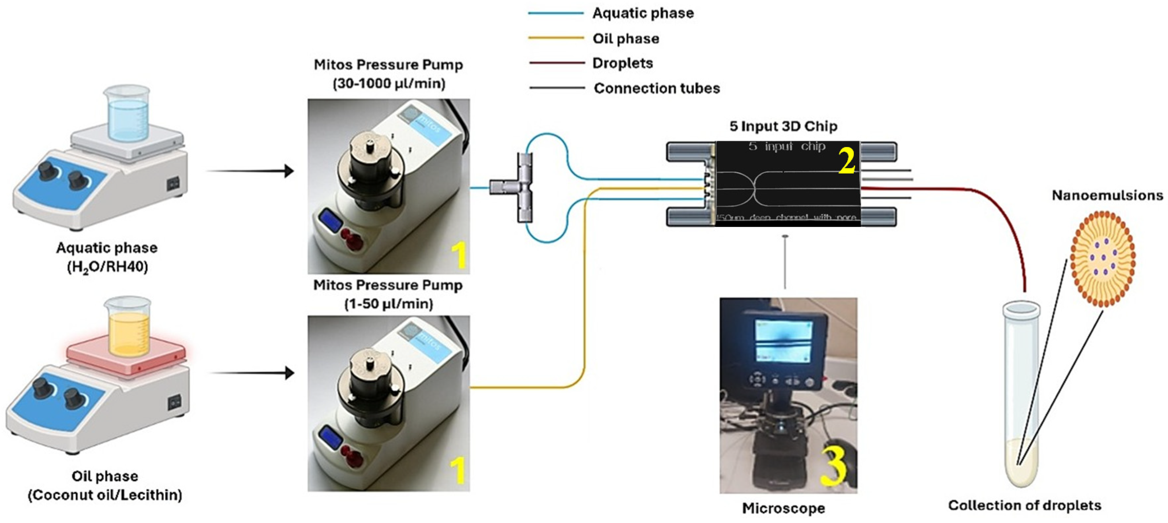 Cosmetics 12 00226 g001