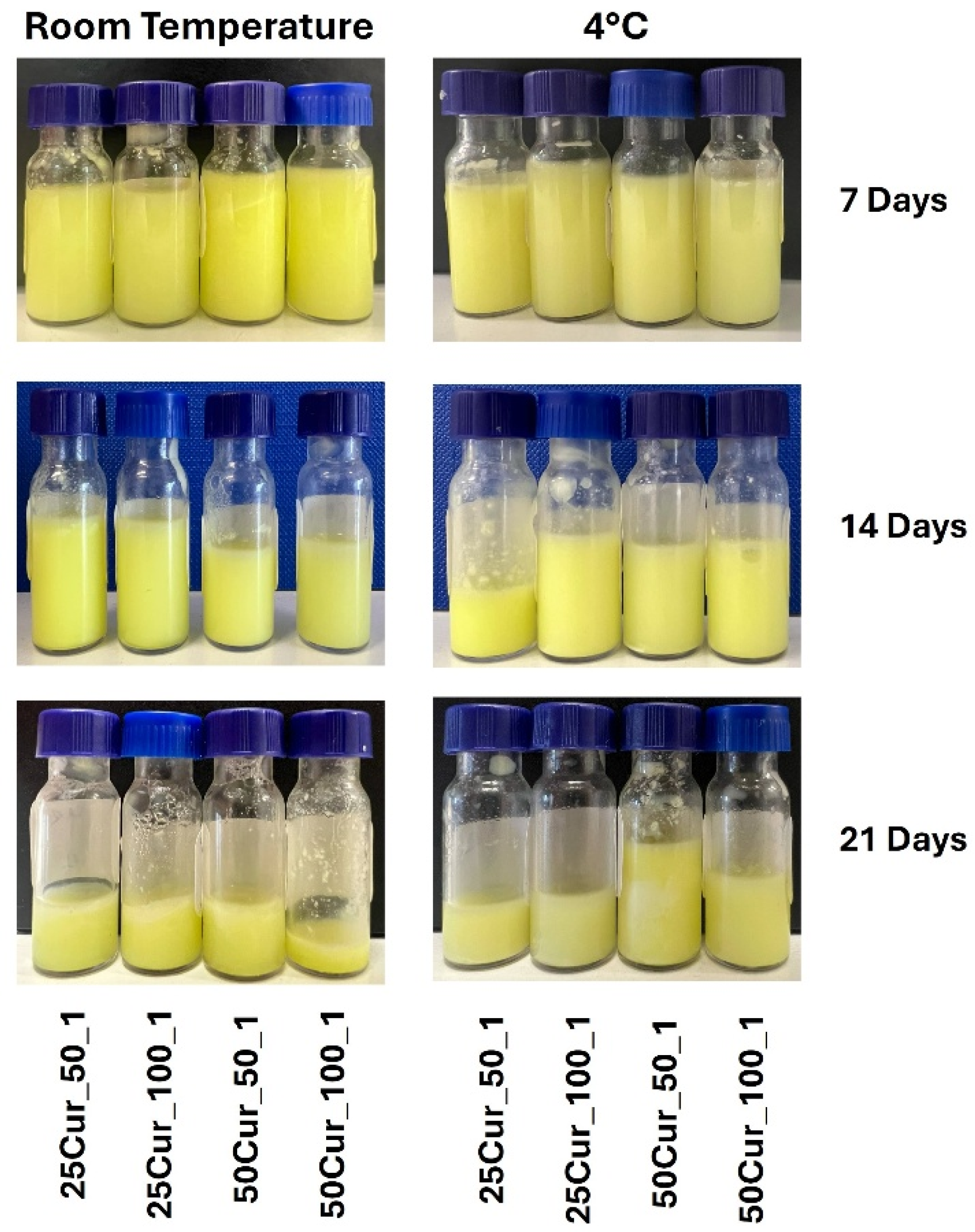 Cosmetics 12 00226 g007