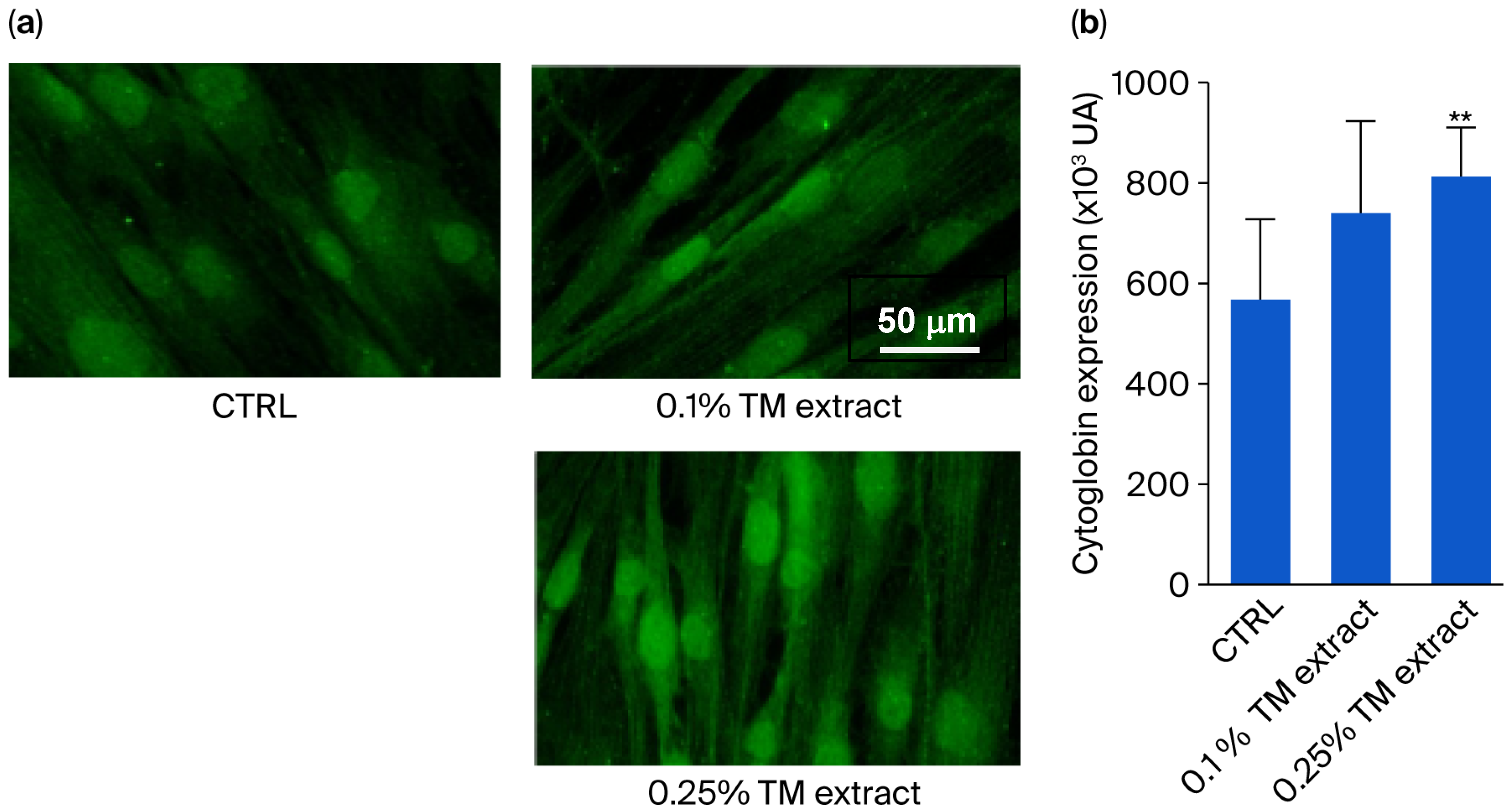 Cosmetics 12 00230 g001