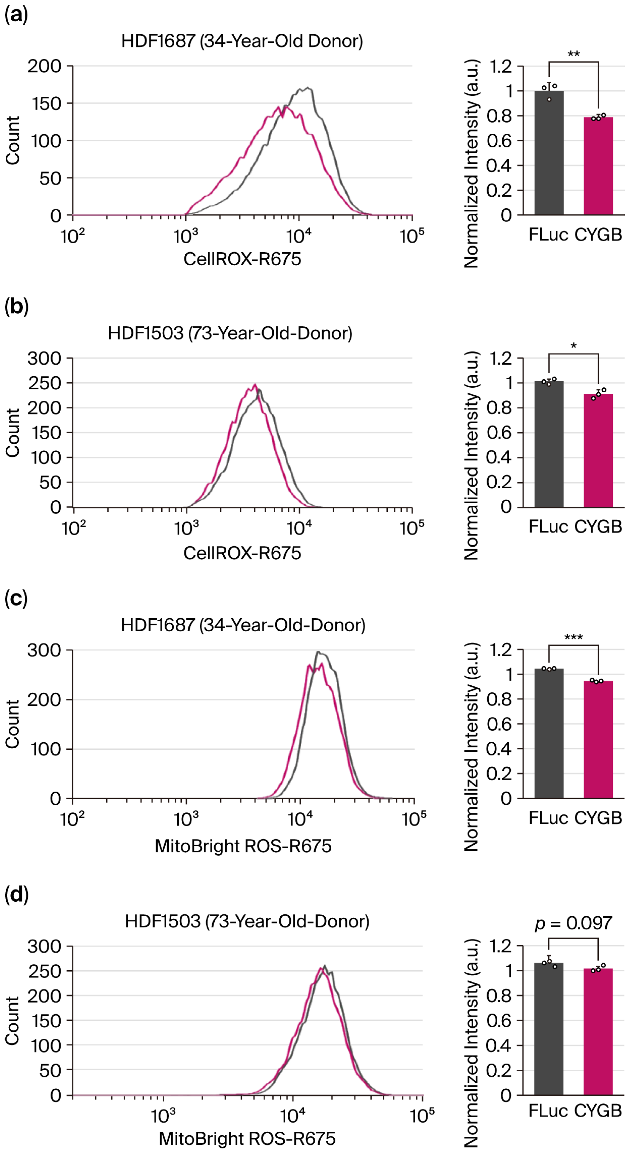 Cosmetics 12 00230 g002