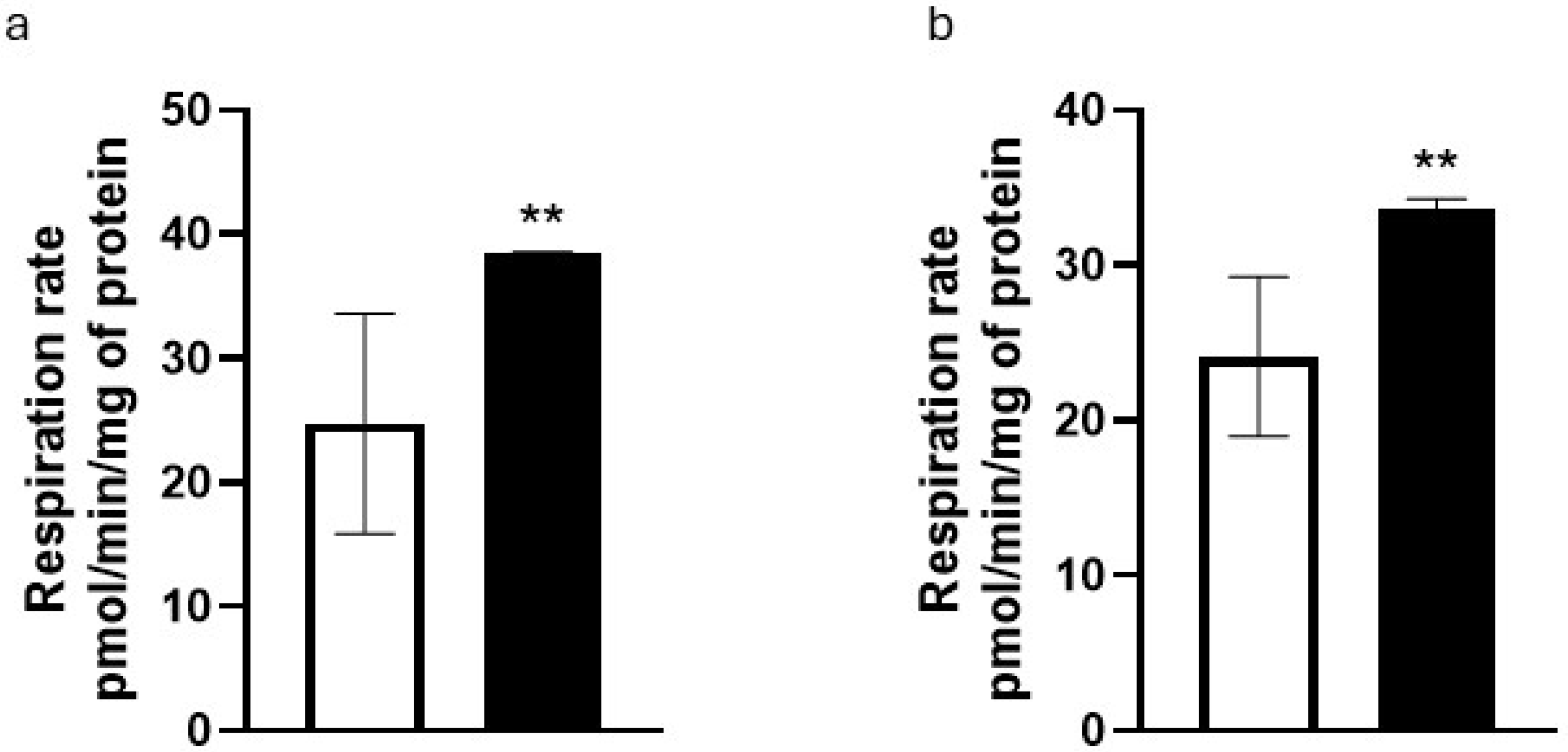 Cosmetics 12 00230 g004