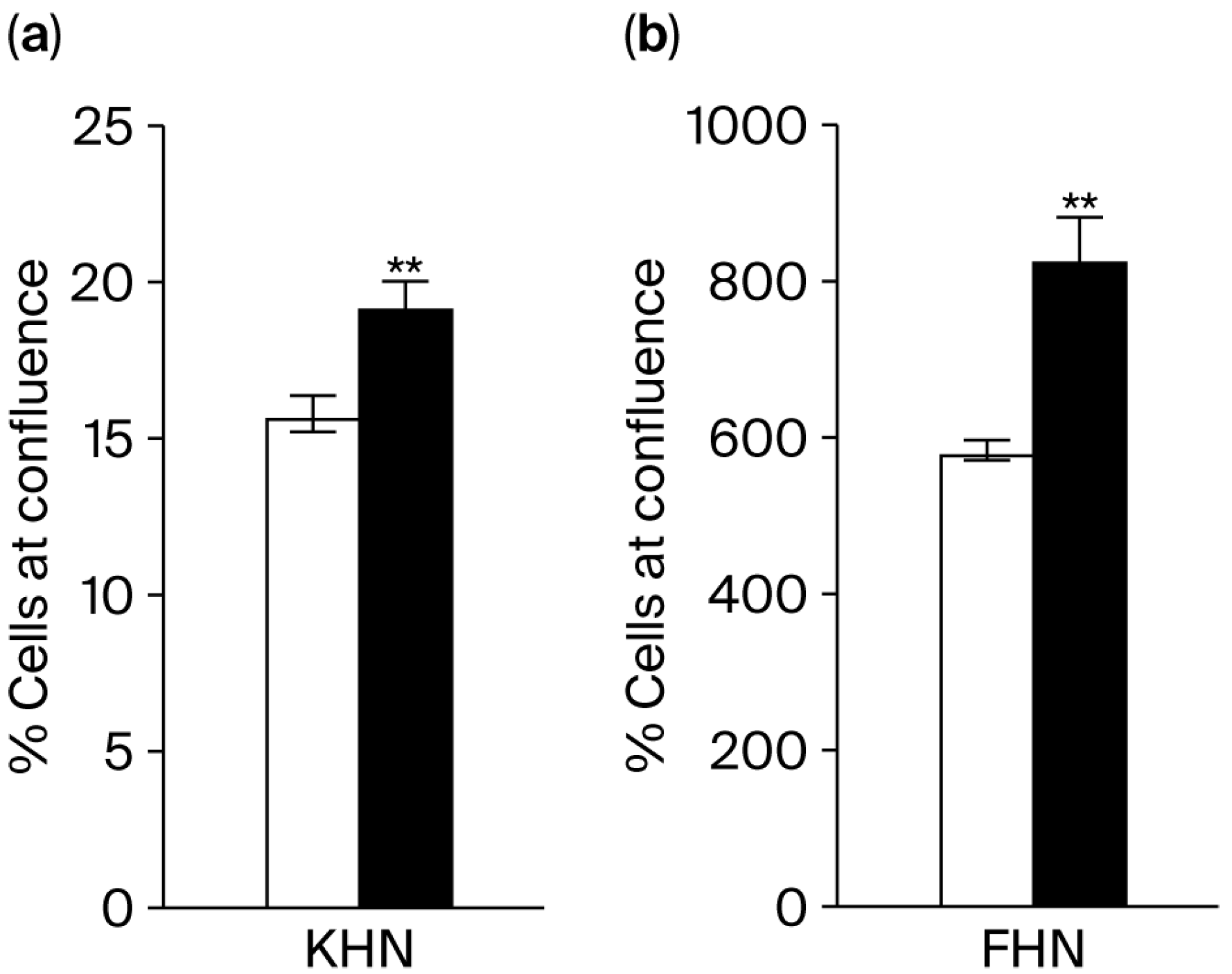 Cosmetics 12 00230 g005