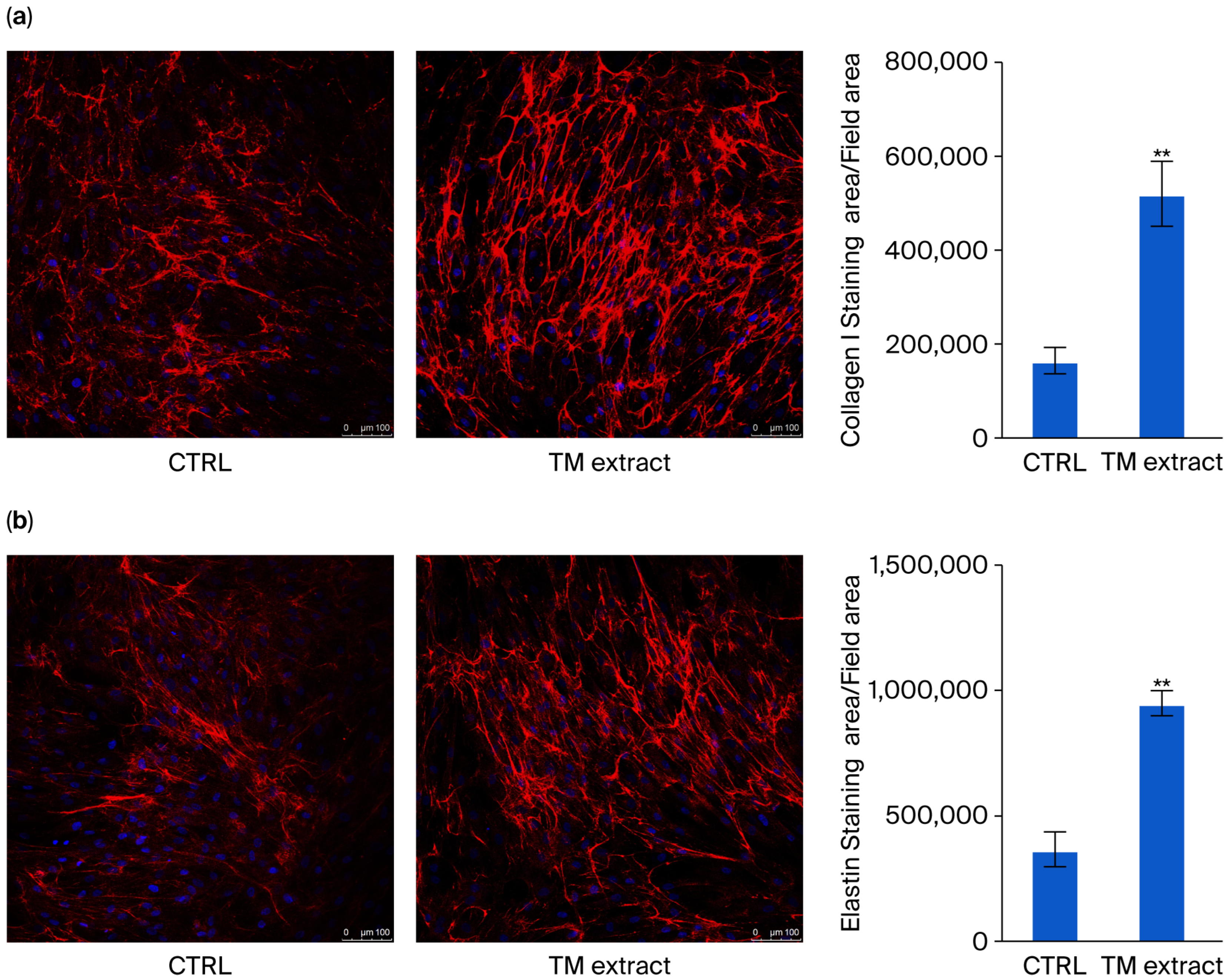Cosmetics 12 00230 g006