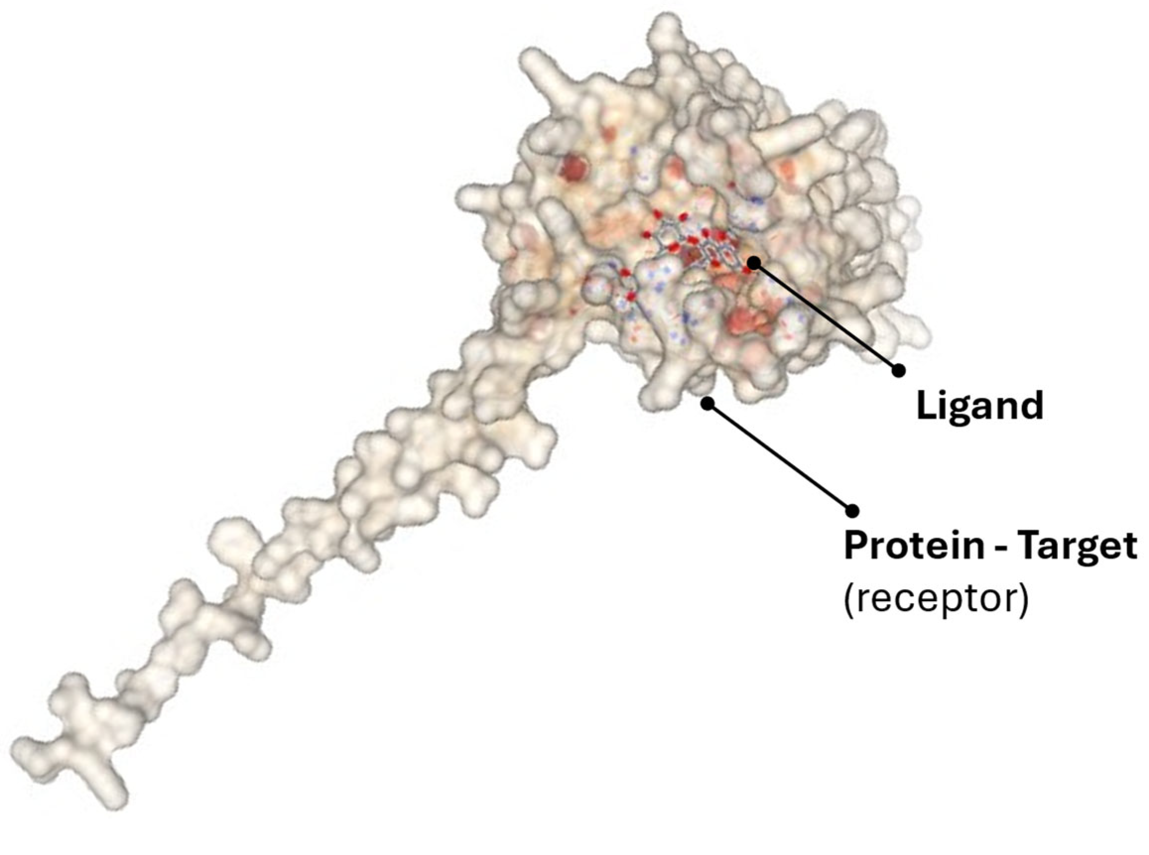 Cosmetics 12 00231 g008
