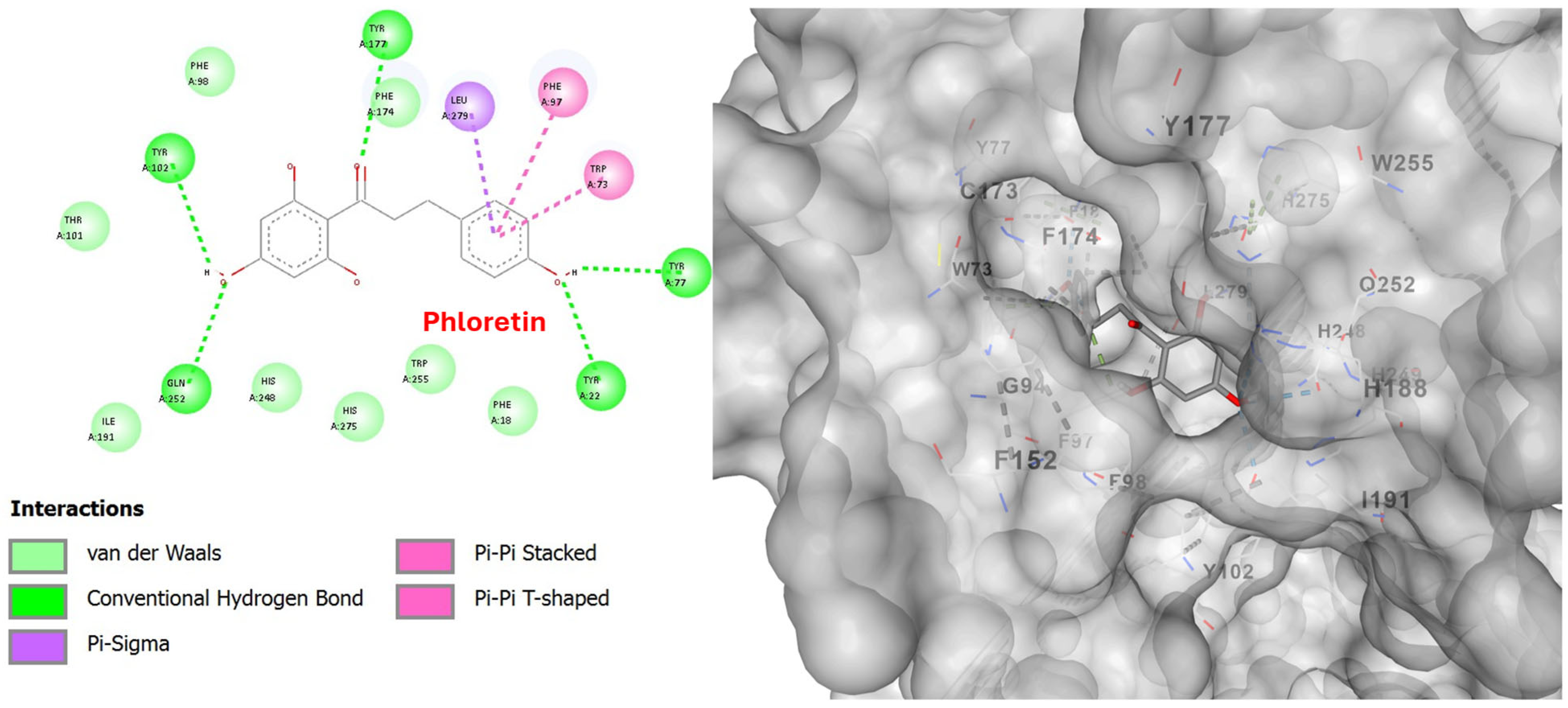 Cosmetics 12 00231 g009