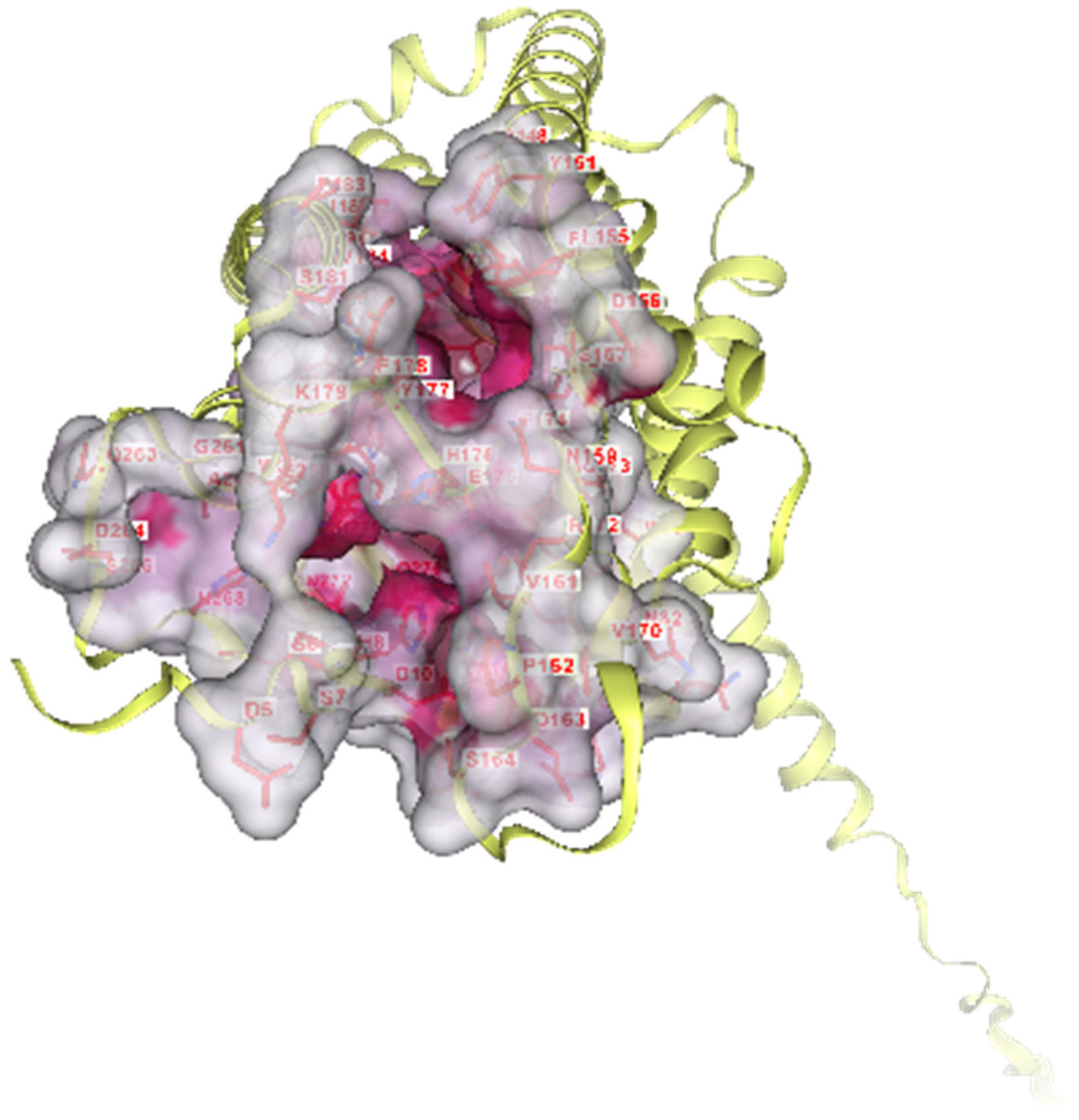 Cosmetics 12 00231 g010