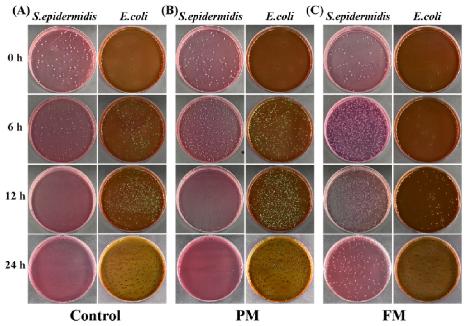 Cosmetics 12 00232 g003