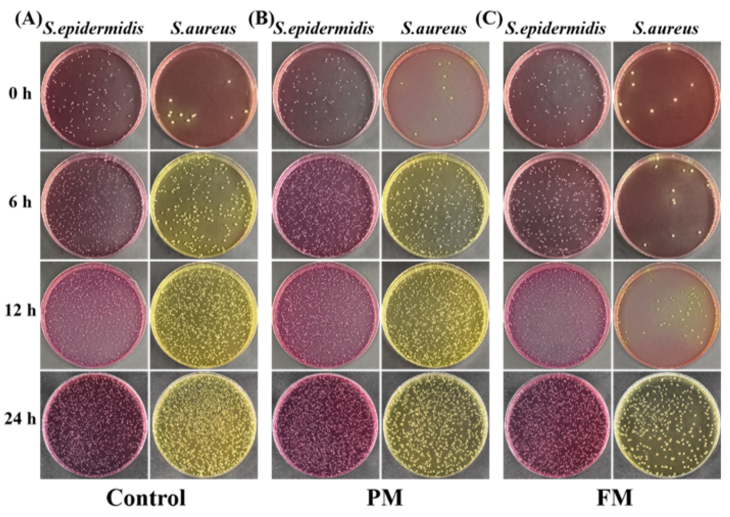 Cosmetics 12 00232 g005