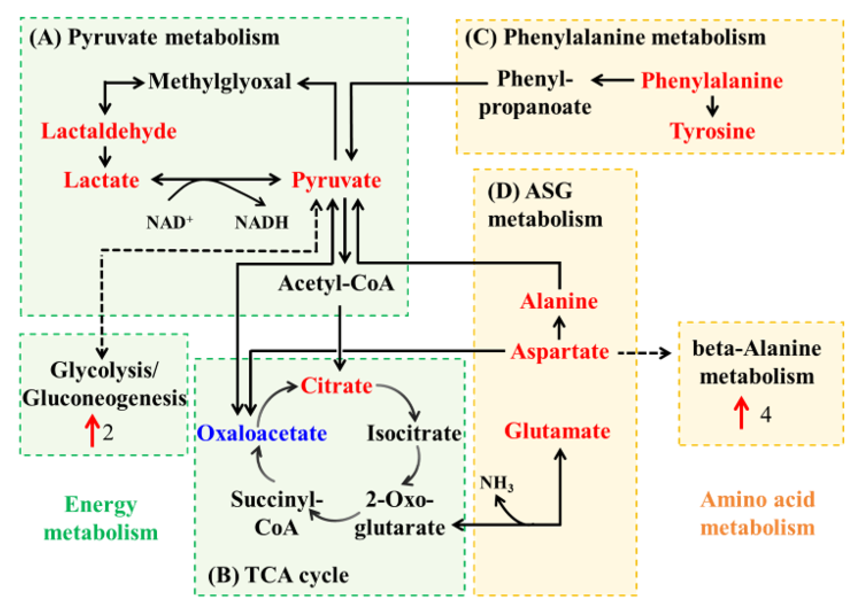 Cosmetics 12 00232 g008