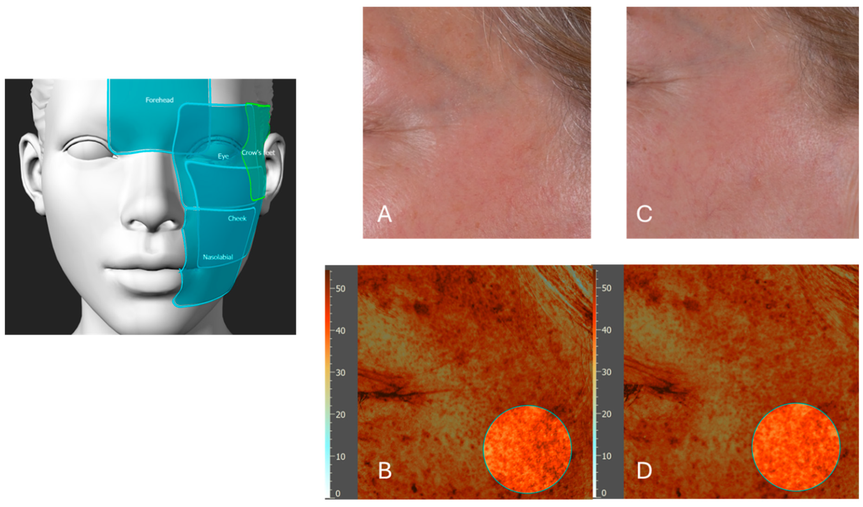 Cosmetics 12 00235 g011