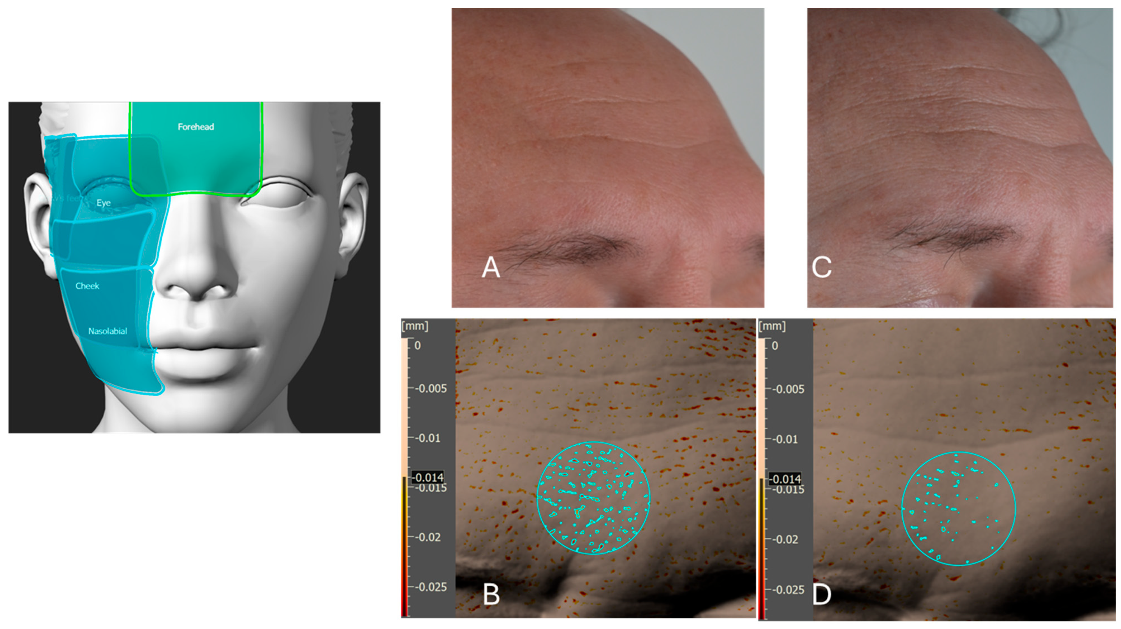 Cosmetics 12 00235 g012