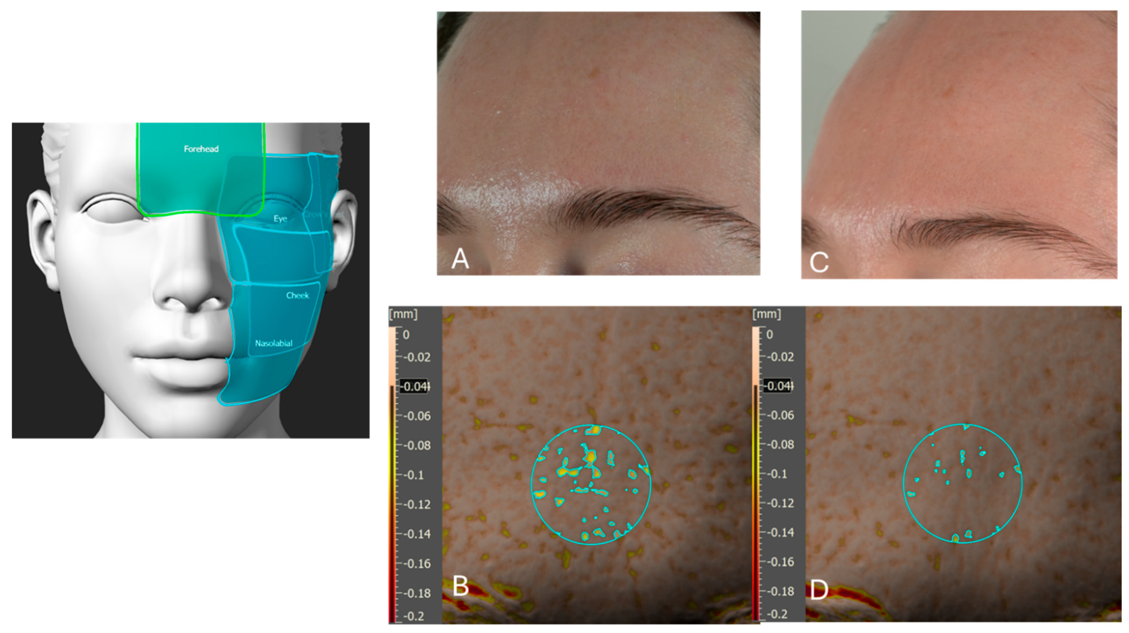 Cosmetics 12 00235 g013