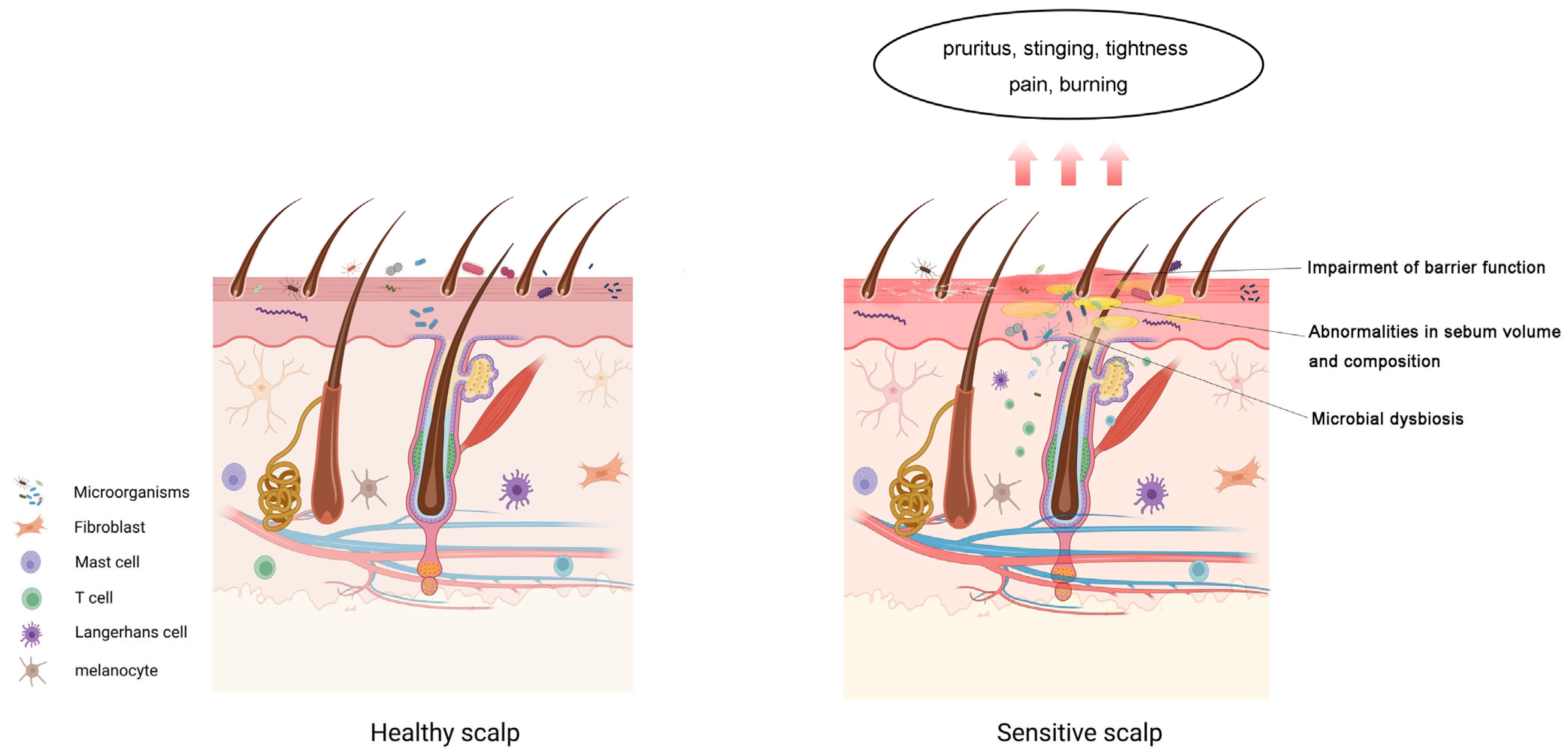 Cosmetics 12 00236 g001 Cosmetics 12 00236 g001