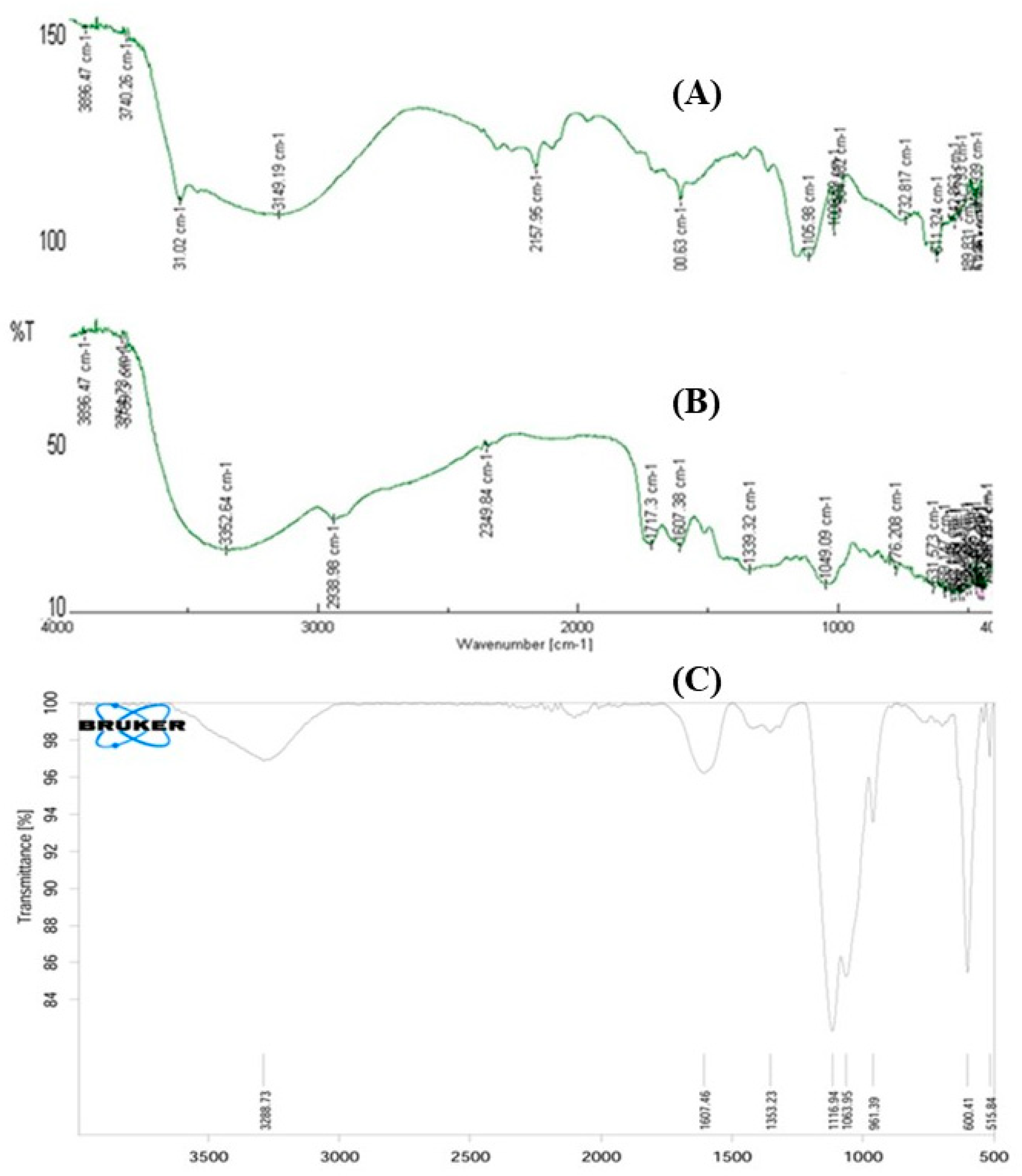 Cosmetics 12 00238 g005 Cosmetics 12 00238 g005