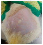 Cosmetics 12 00238 i002 Cosmetics 12 00238 i002