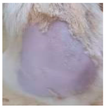 Cosmetics 12 00238 i004 Cosmetics 12 00238 i004