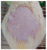 Cosmetics 12 00238 i009 Cosmetics 12 00238 i009