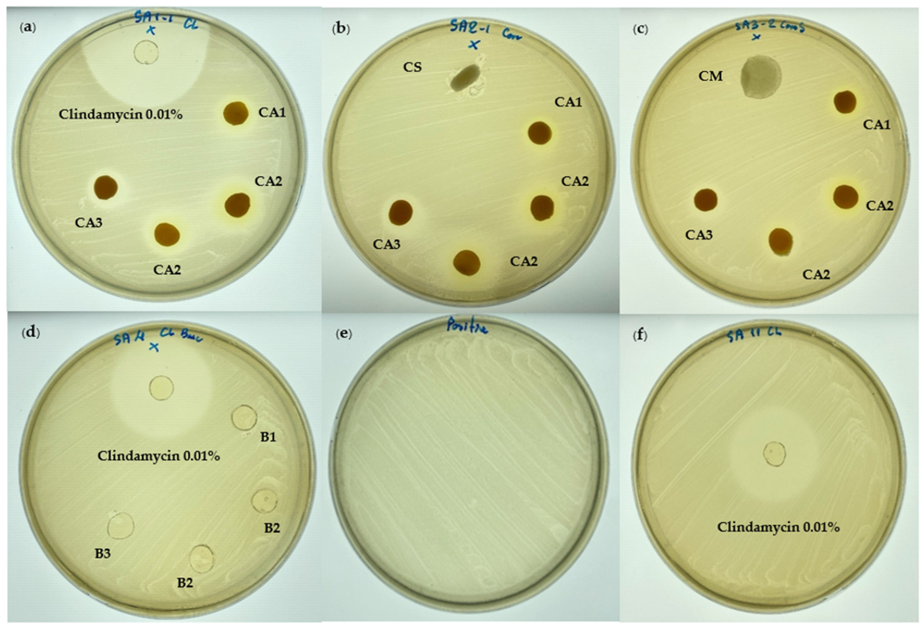 Cosmetics 12 00240 g004 Cosmetics 12 00240 g004
