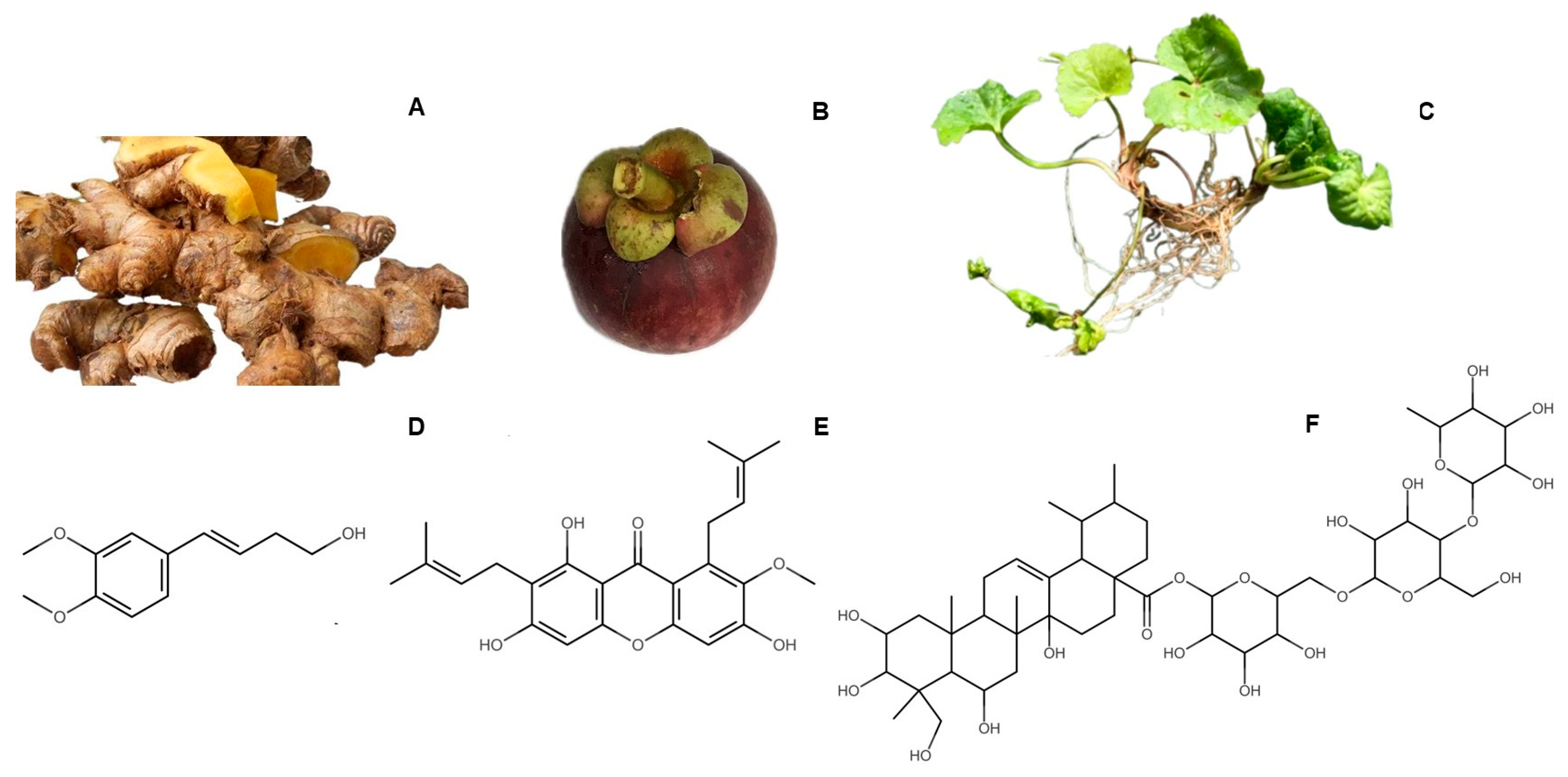 Cosmetics 12 00241 g001