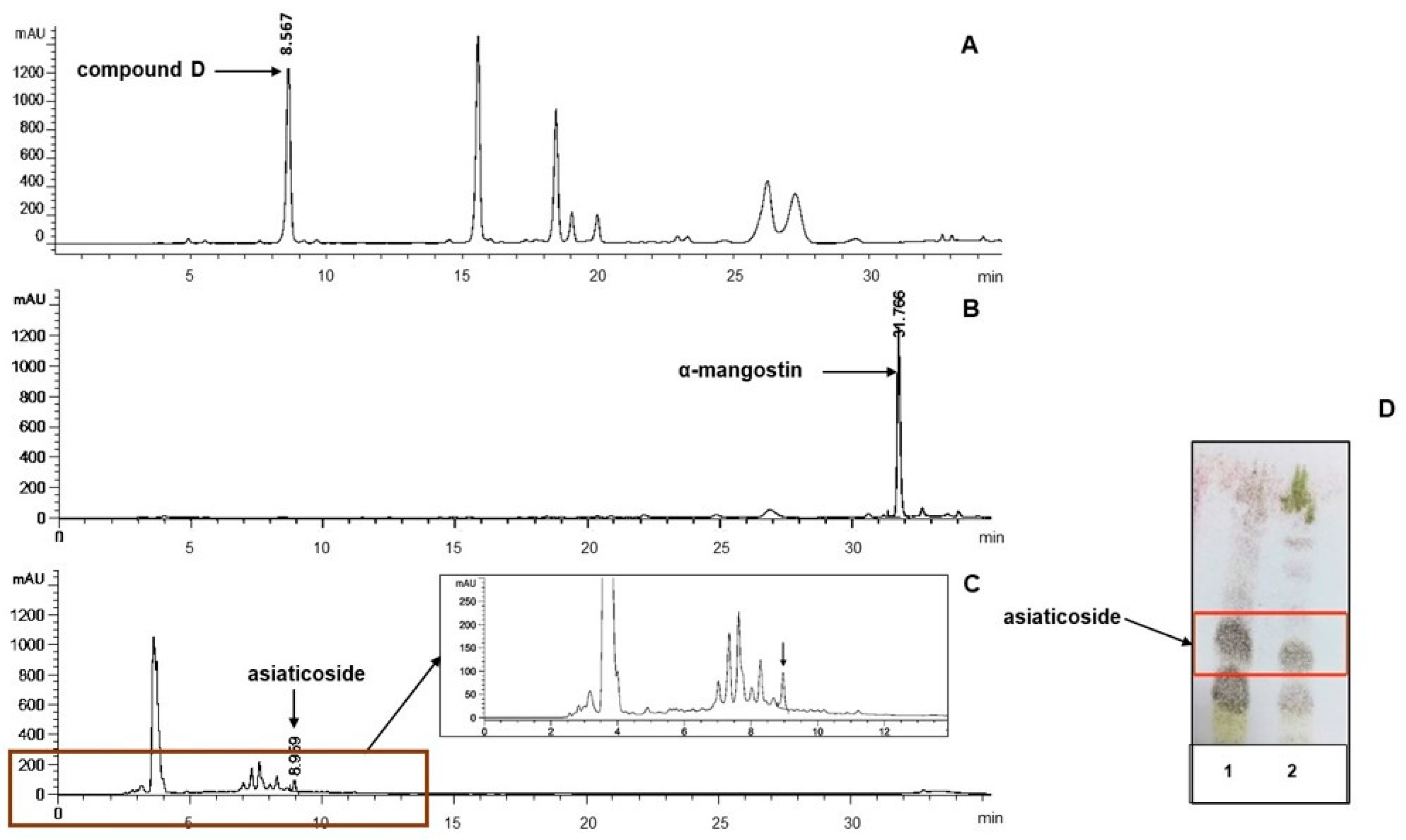 Cosmetics 12 00241 g002