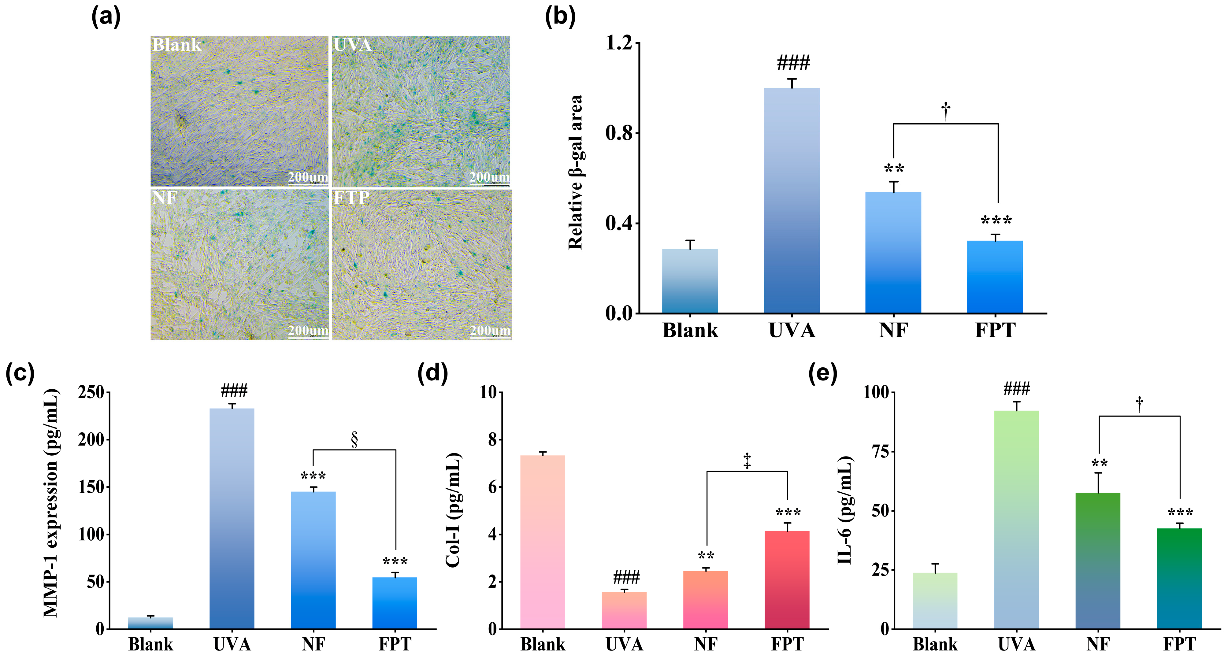Cosmetics 12 00243 g004 Cosmetics 12 00243 g004