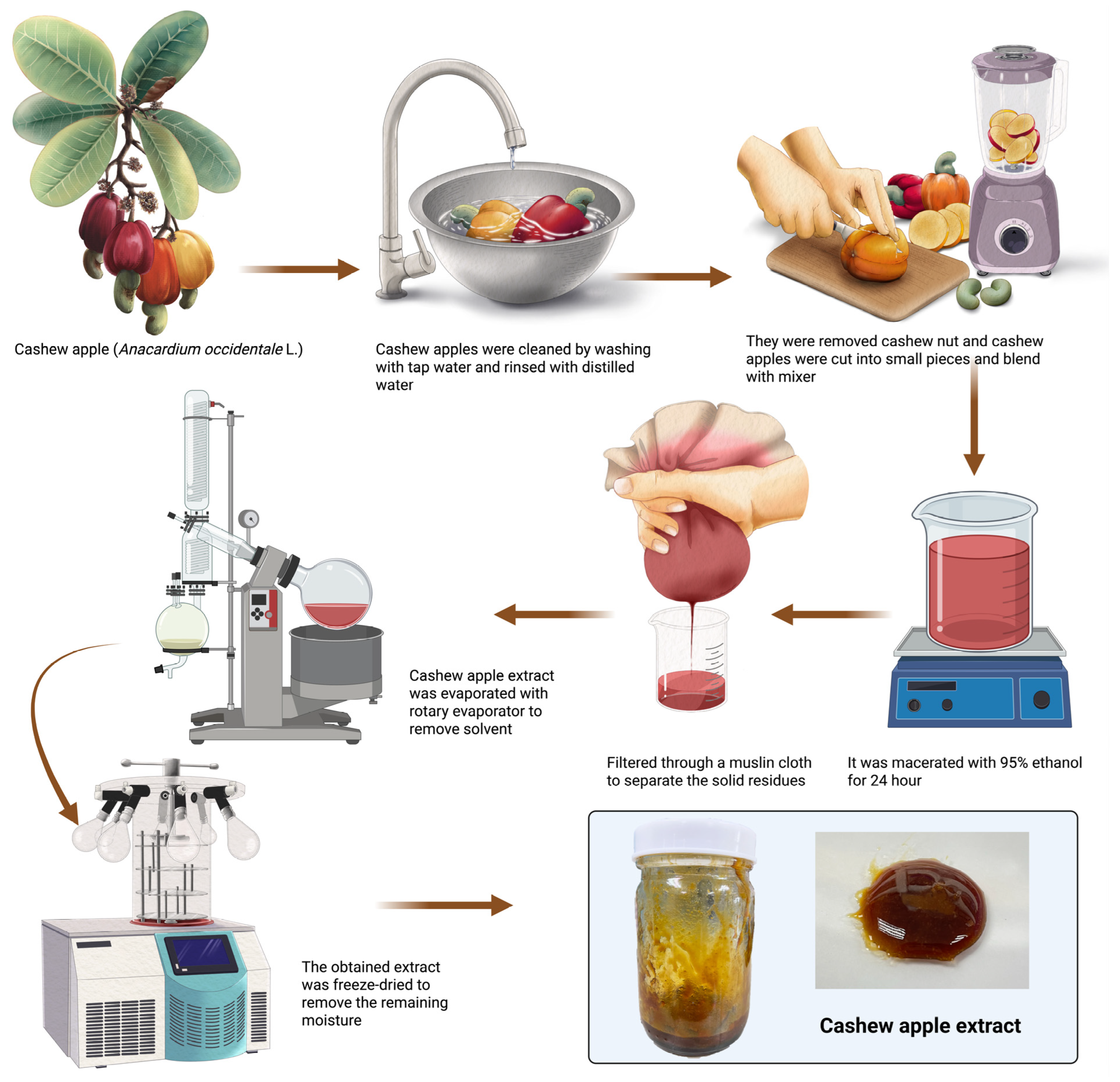 Cosmetics 12 00246 g002 Cosmetics 12 00246 g002