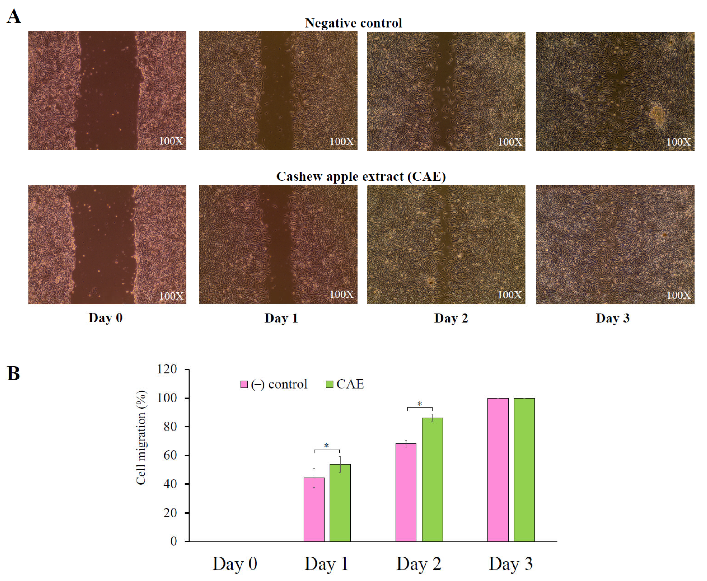 Cosmetics 12 00246 g008 Cosmetics 12 00246 g008