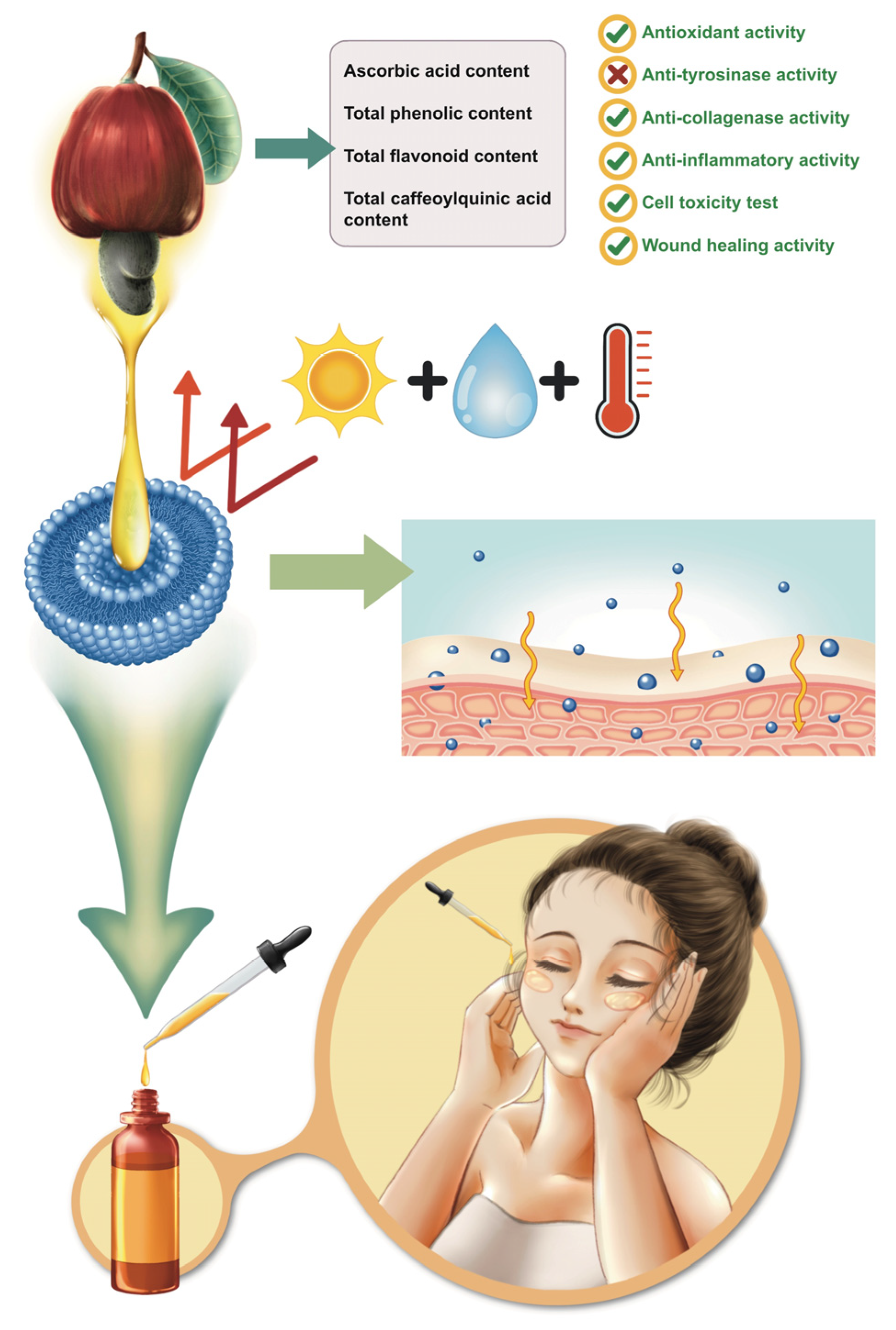 Cosmetics 12 00246 g012 Cosmetics 12 00246 g012